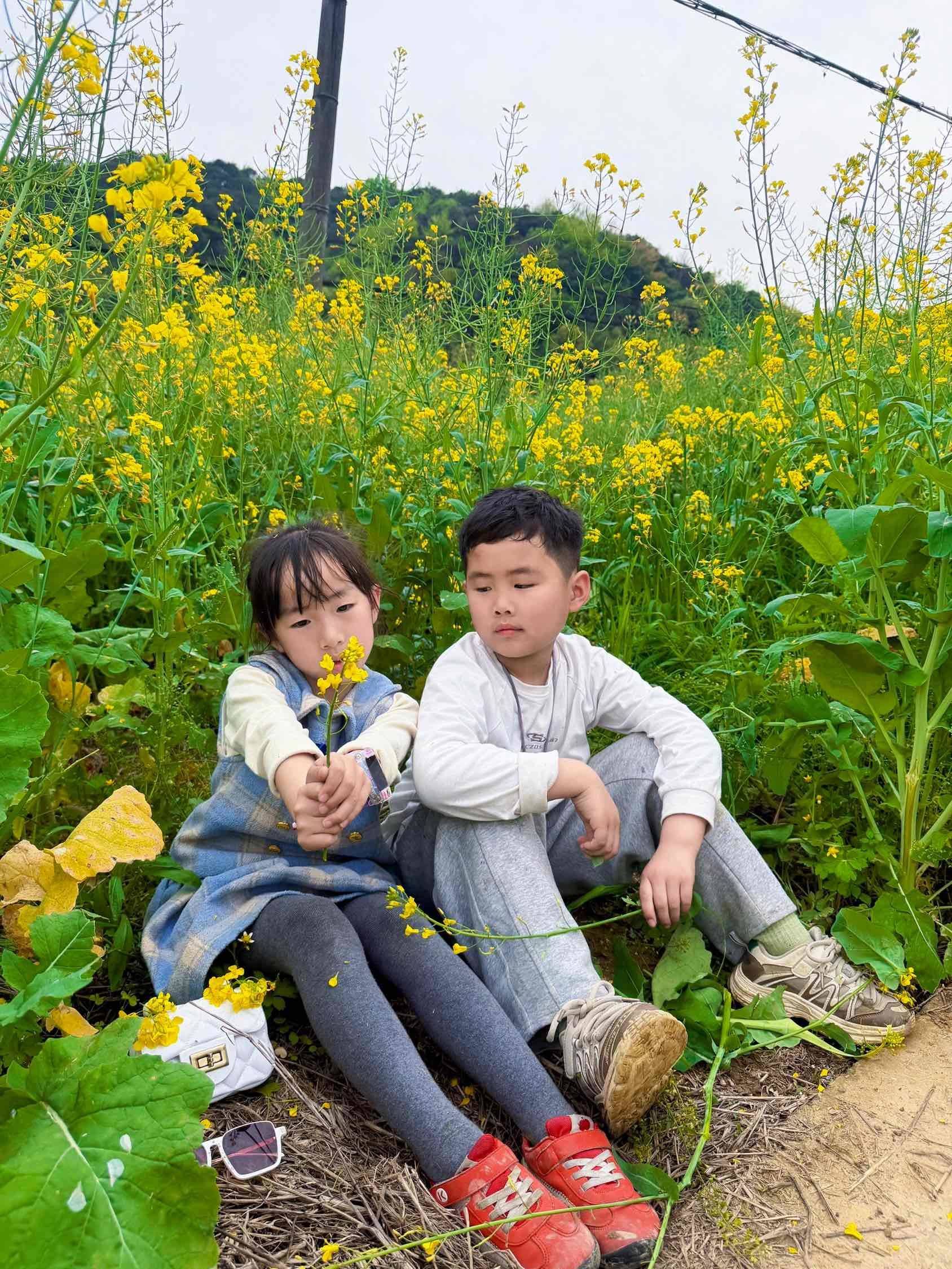 手残党拍油菜花  只能这样了_2