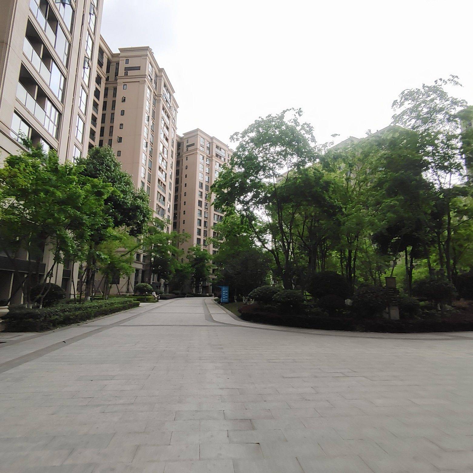 找室友找室友，葱葱郁郁你会喜欢吗 清晨