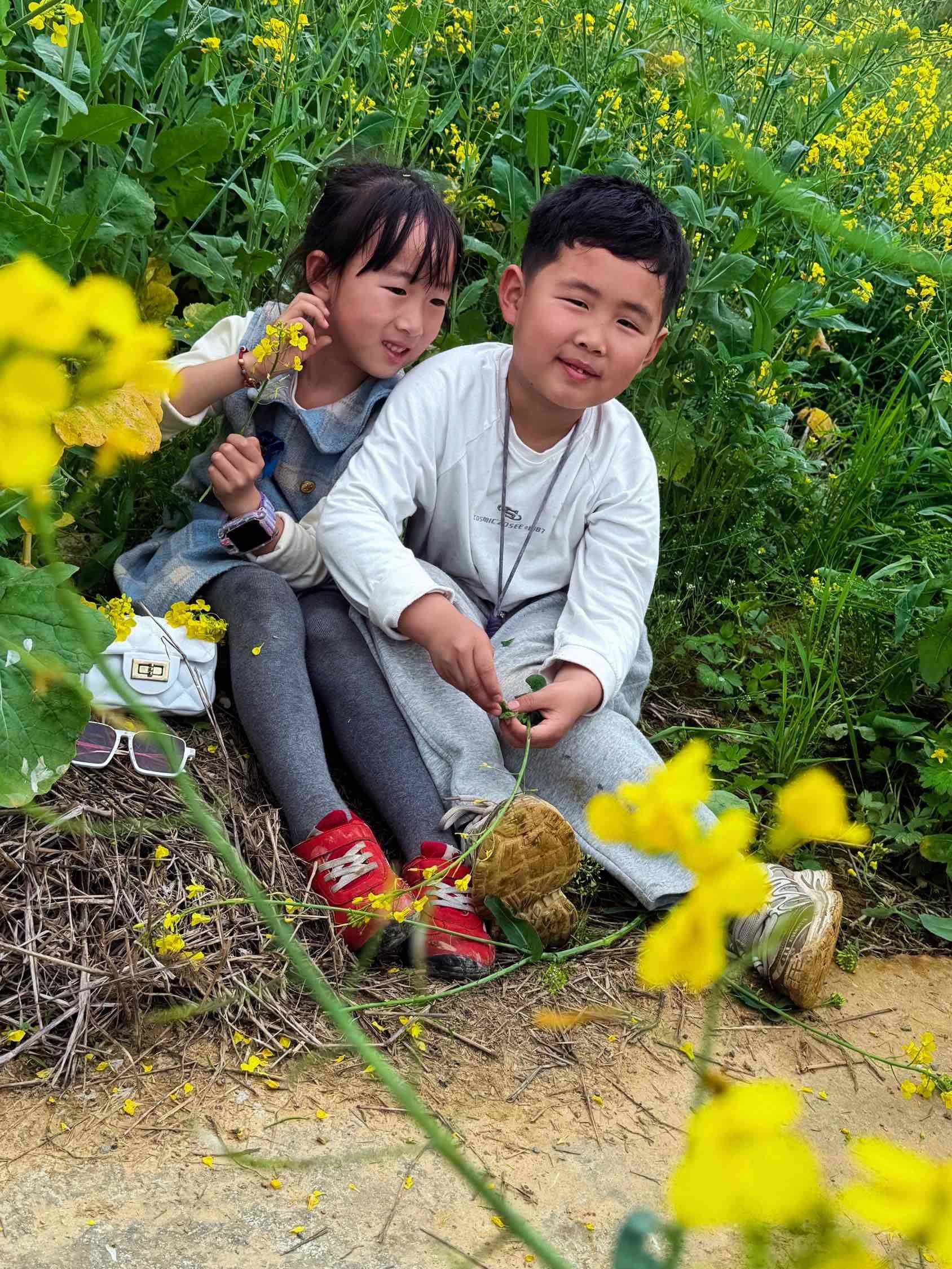 手残党拍油菜花  只能这样了_1