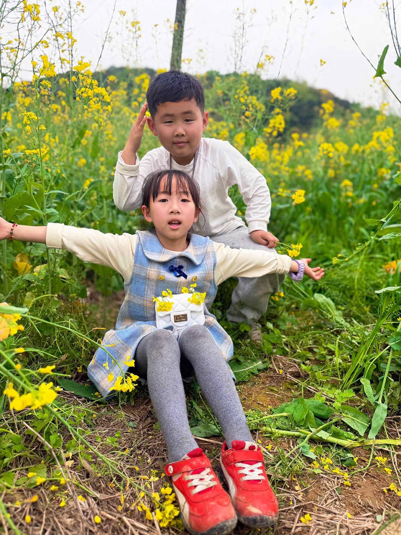手残党拍油菜花  只能这样了