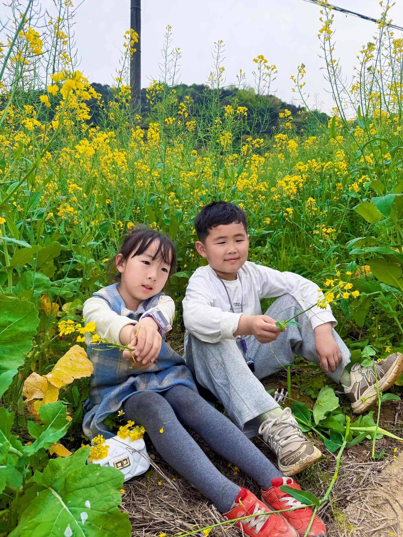 手残党拍油菜花  只能这样了_3