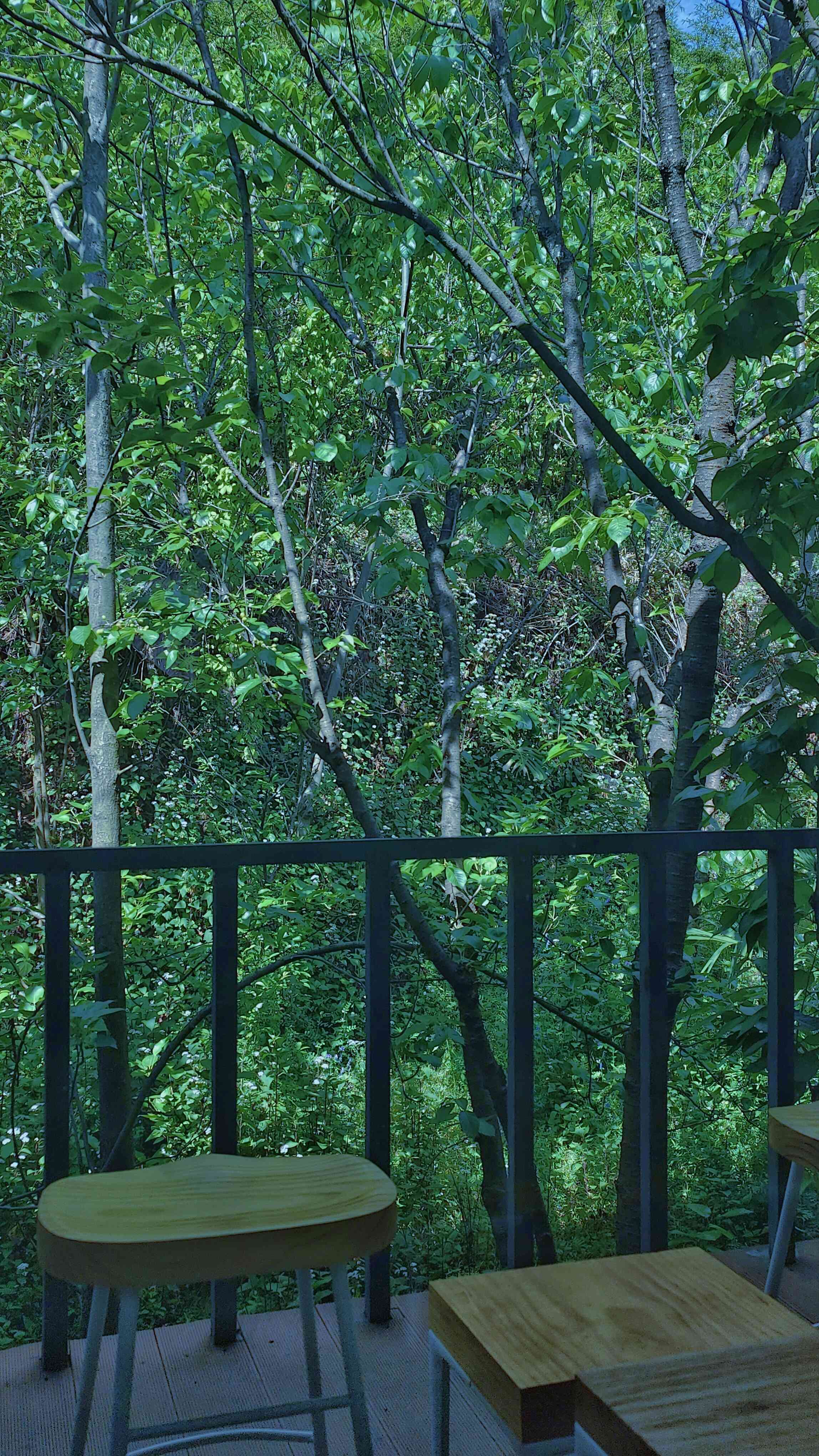 欢迎来我家摘樱桃_4