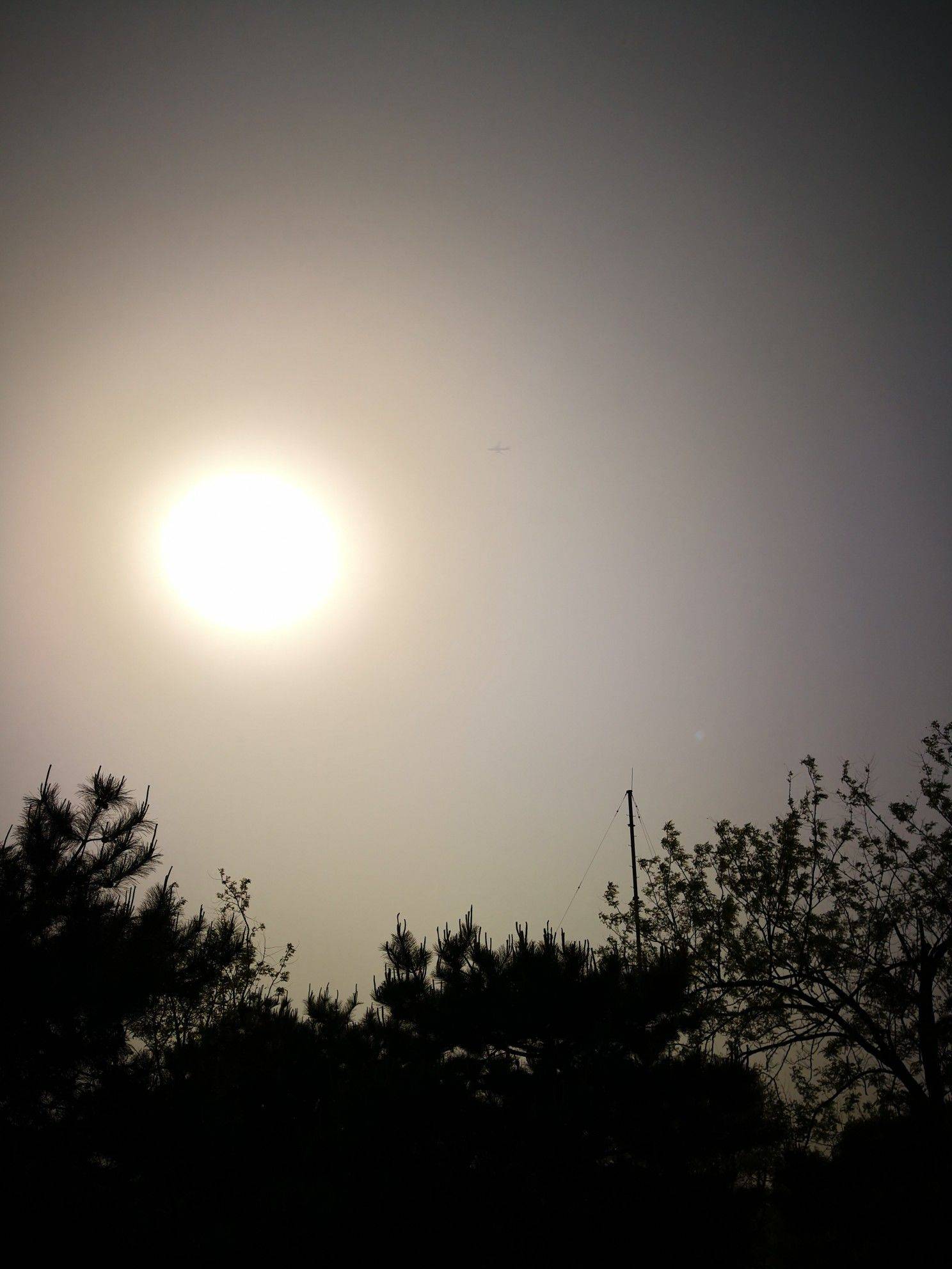 记录生活的美好瞬间
蓝天白云 高楼林_4