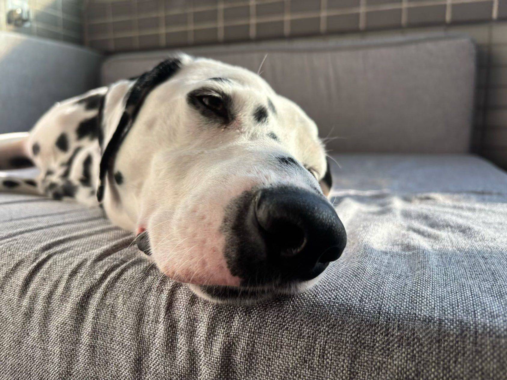 在城市里，构建垂直生长的共居空间_3