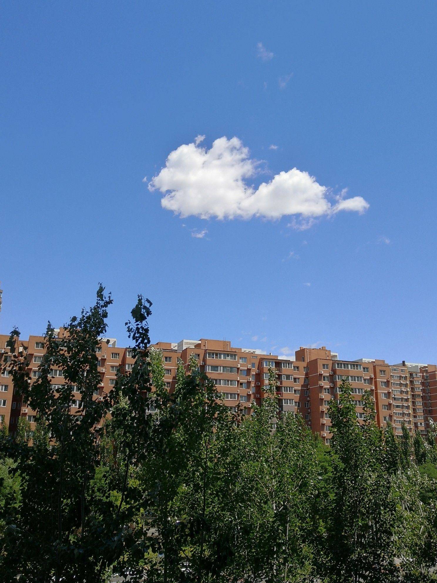 记录生活的美好瞬间
蓝天白云 高楼林