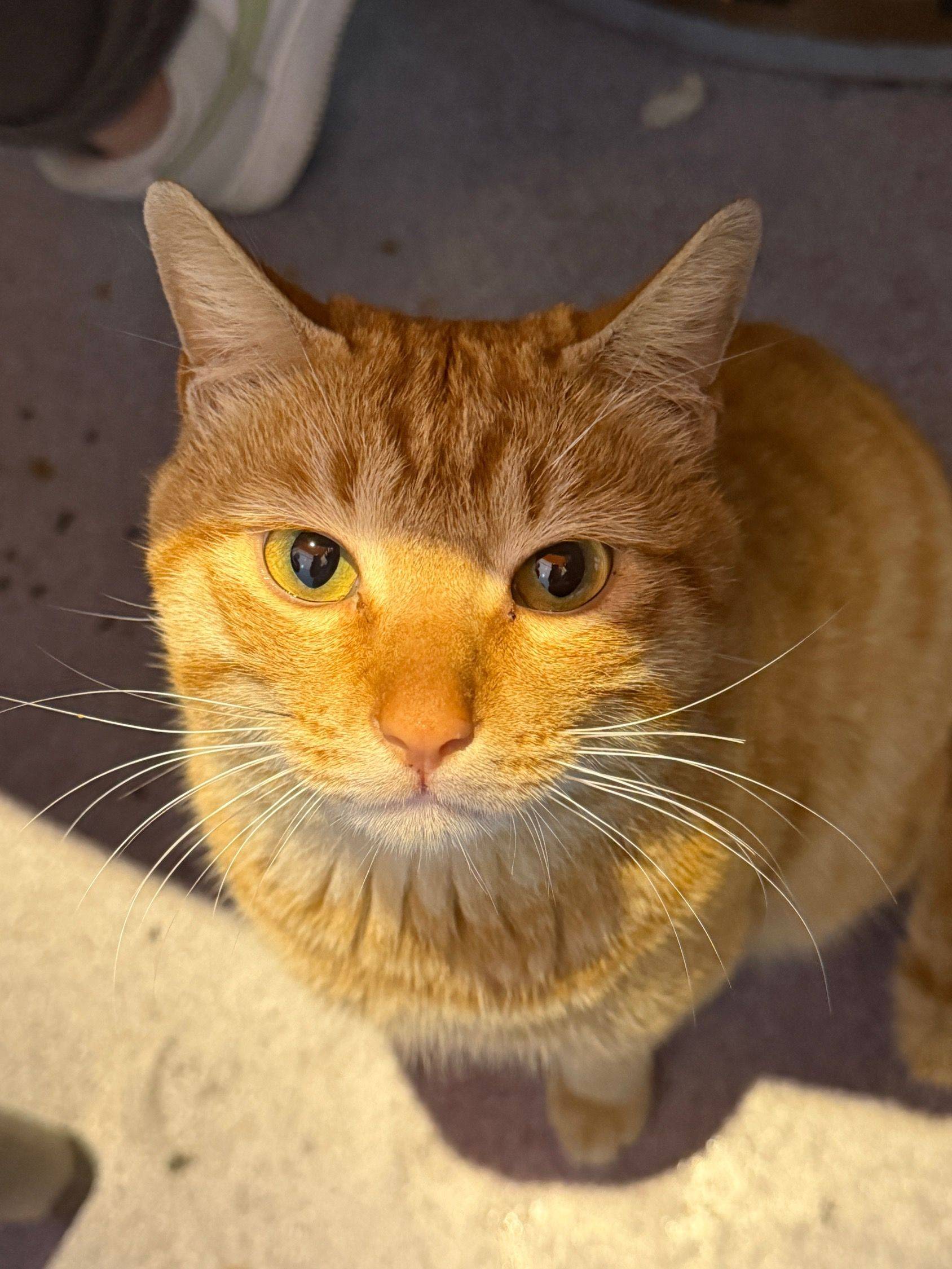 达橘橘橘橘橘_1