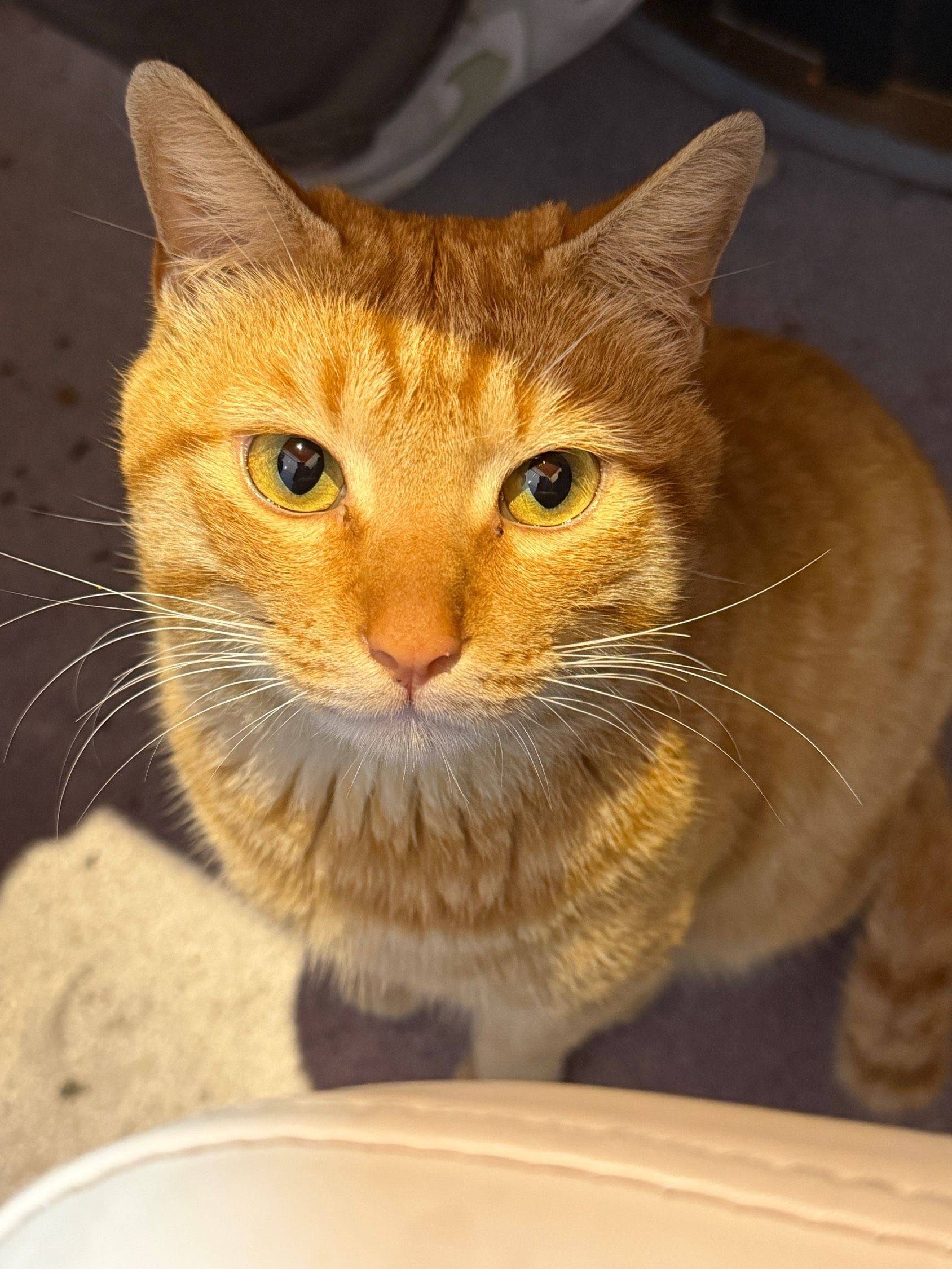 达橘橘橘橘橘_3