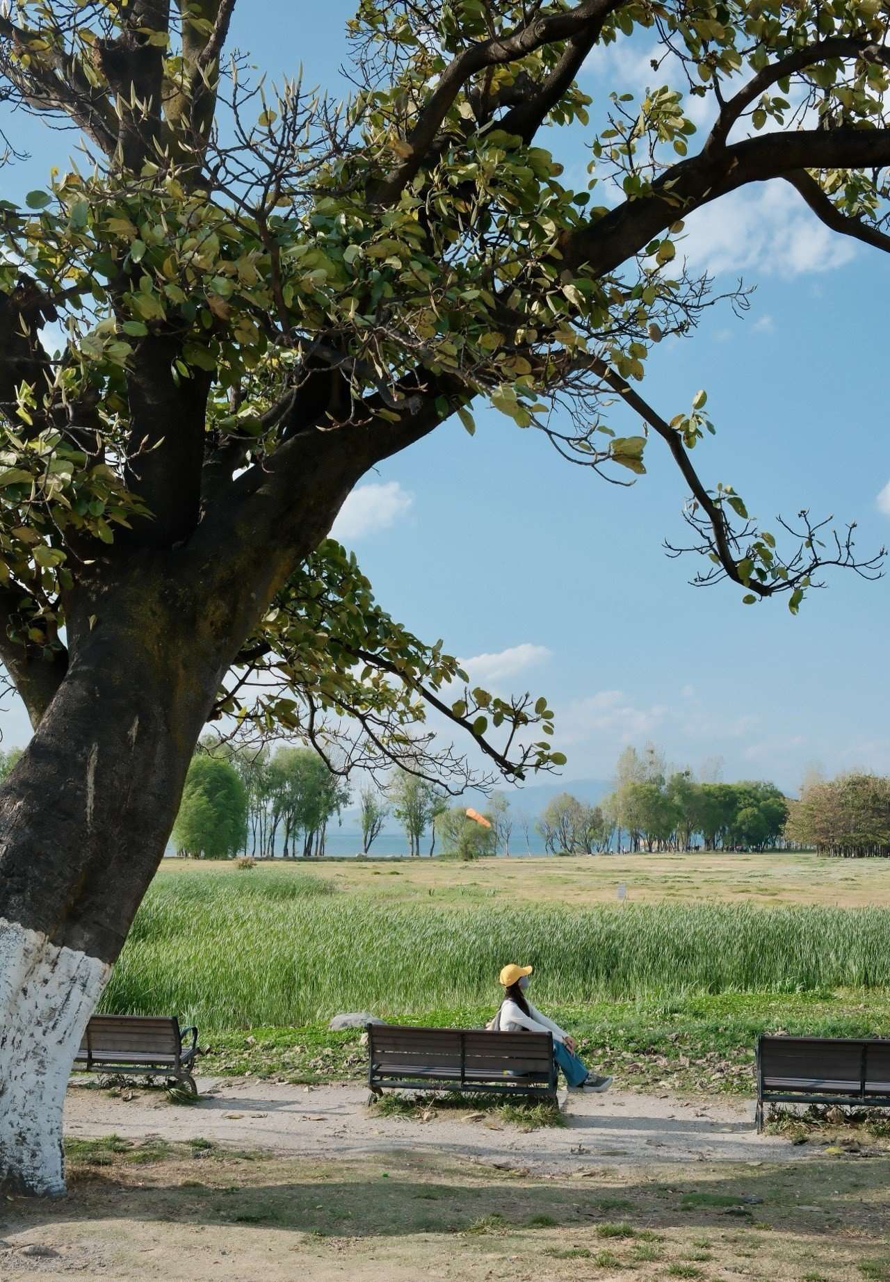 大理 城市喚醒計劃 享受当下 漫