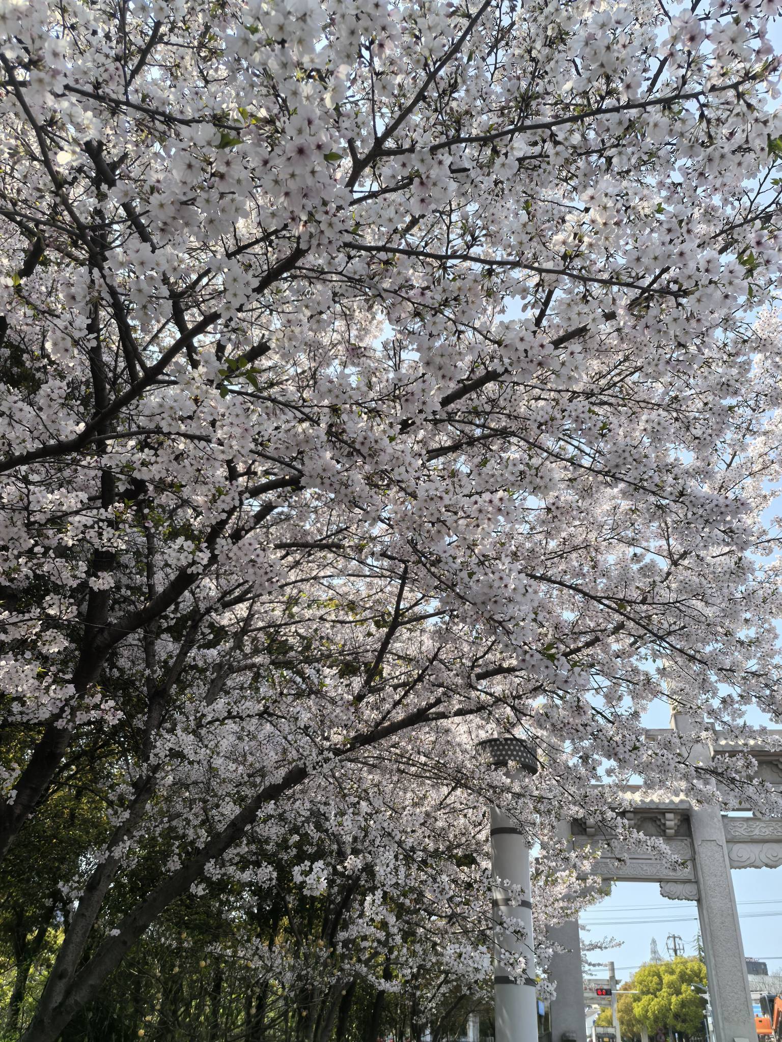 天鹅湖露营烧烤_2