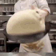 蹲室友