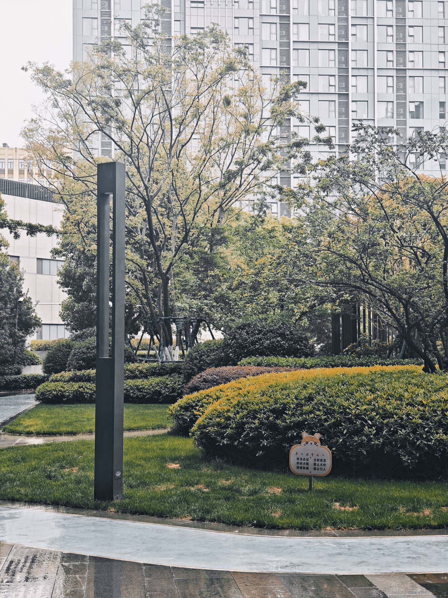 上海的雨季又要来了 城市风光  绿意