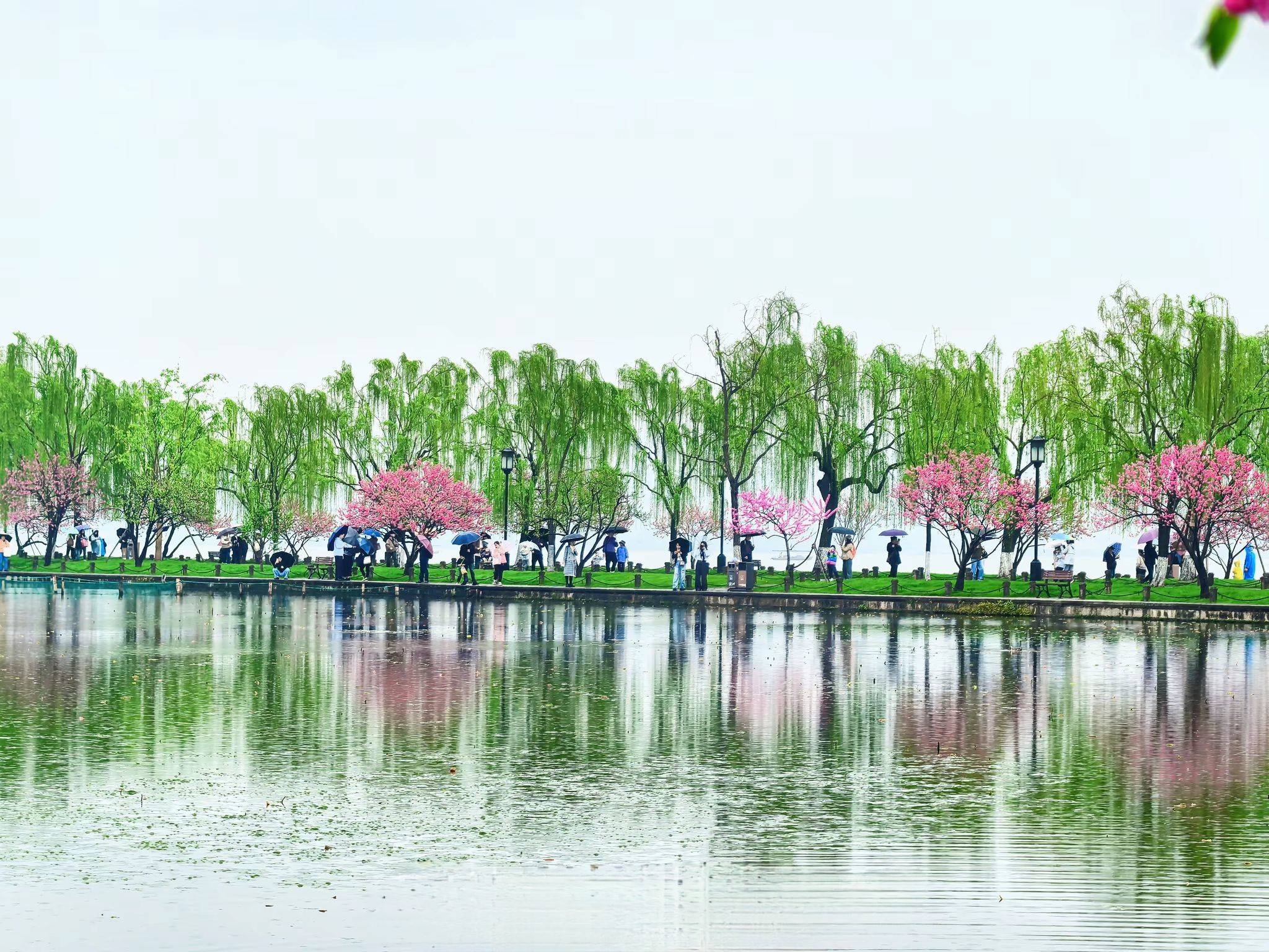 春风又绿江南岸_1