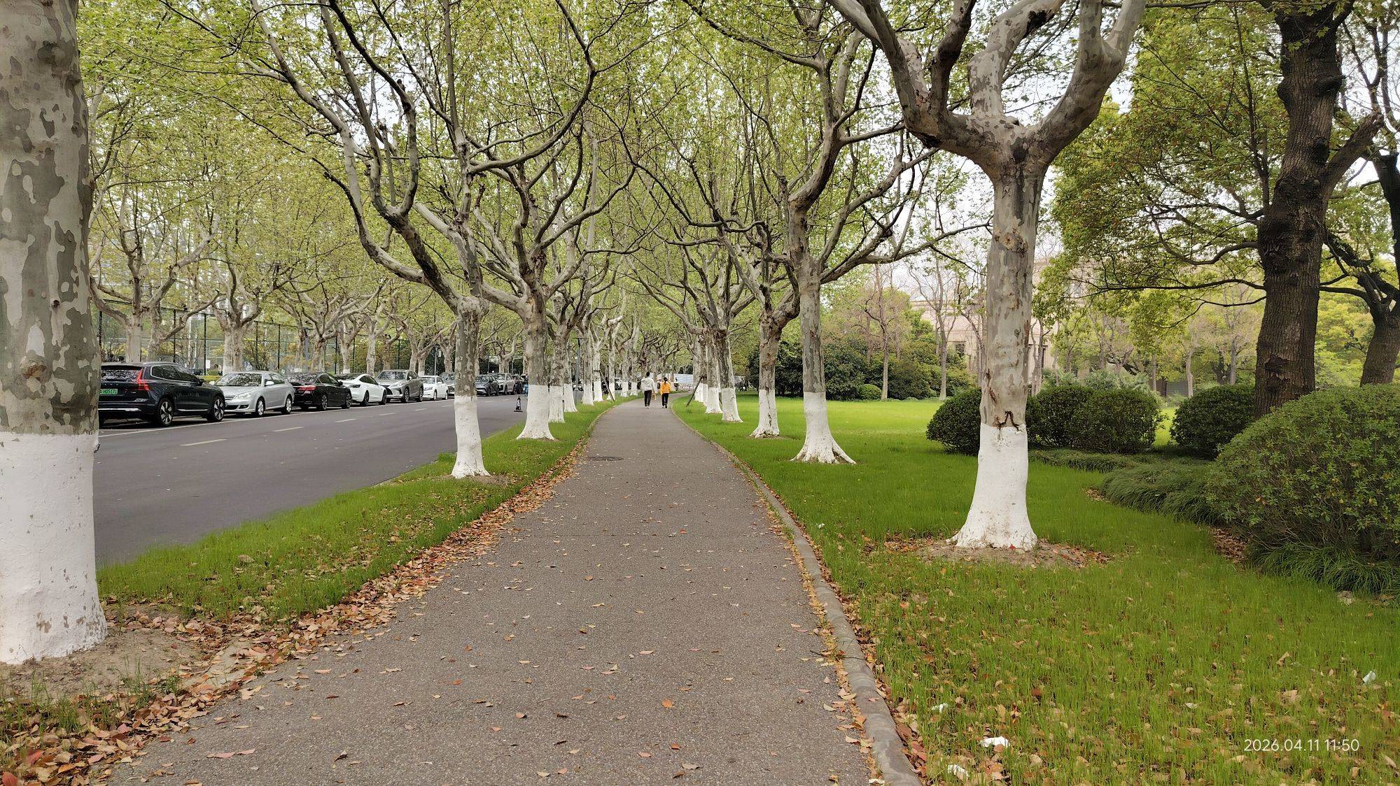 哈哈考一次少一次｜很好奇末尾那张图_4