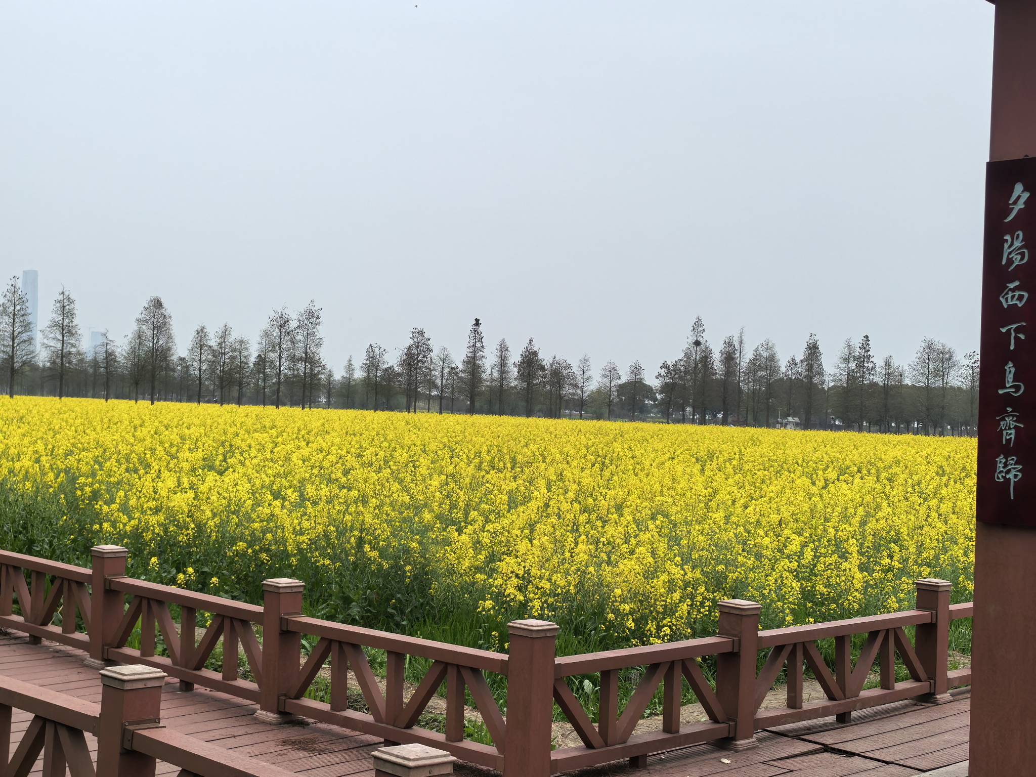 天鹅湖露营烧烤_4