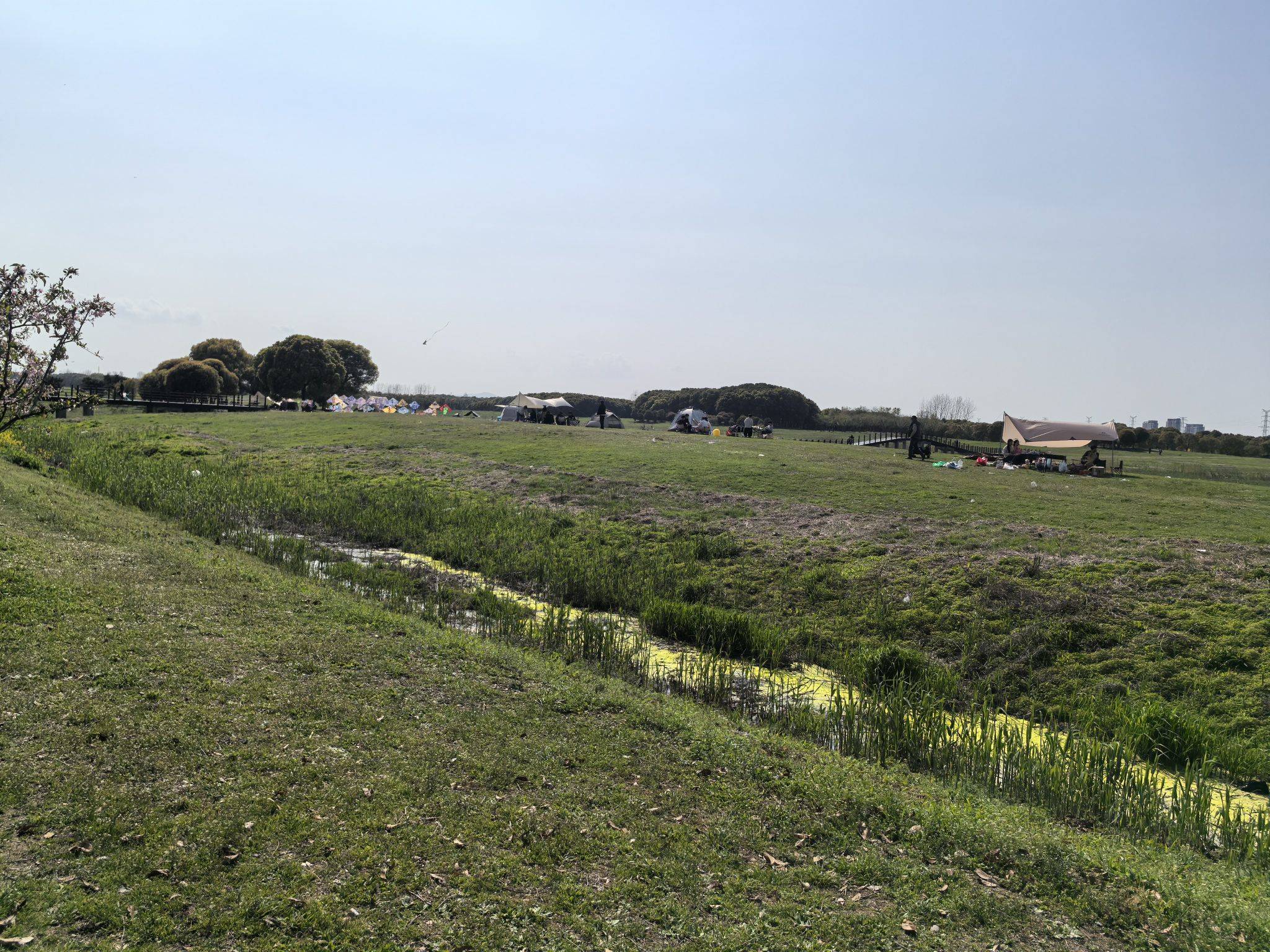 天鹅湖露营烧烤_1
