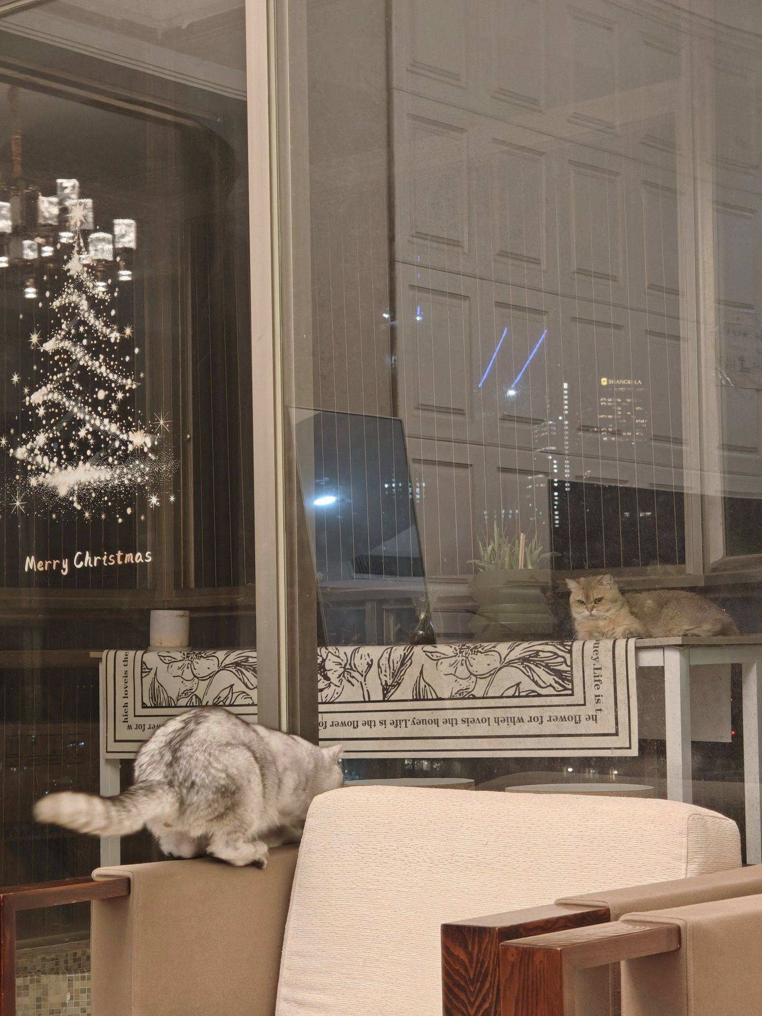 简简单单八菜一汤_2