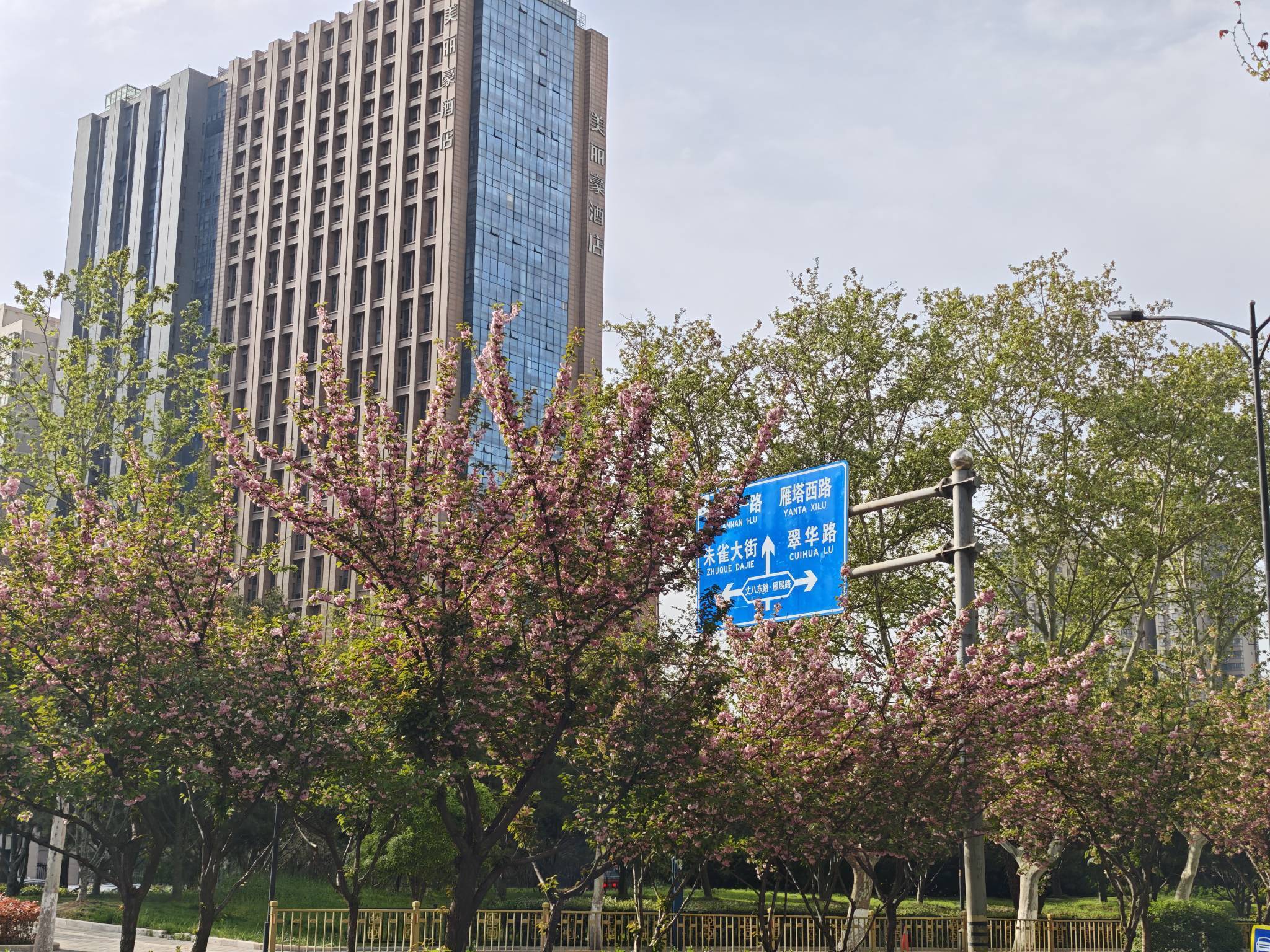 西安电视塔招室友