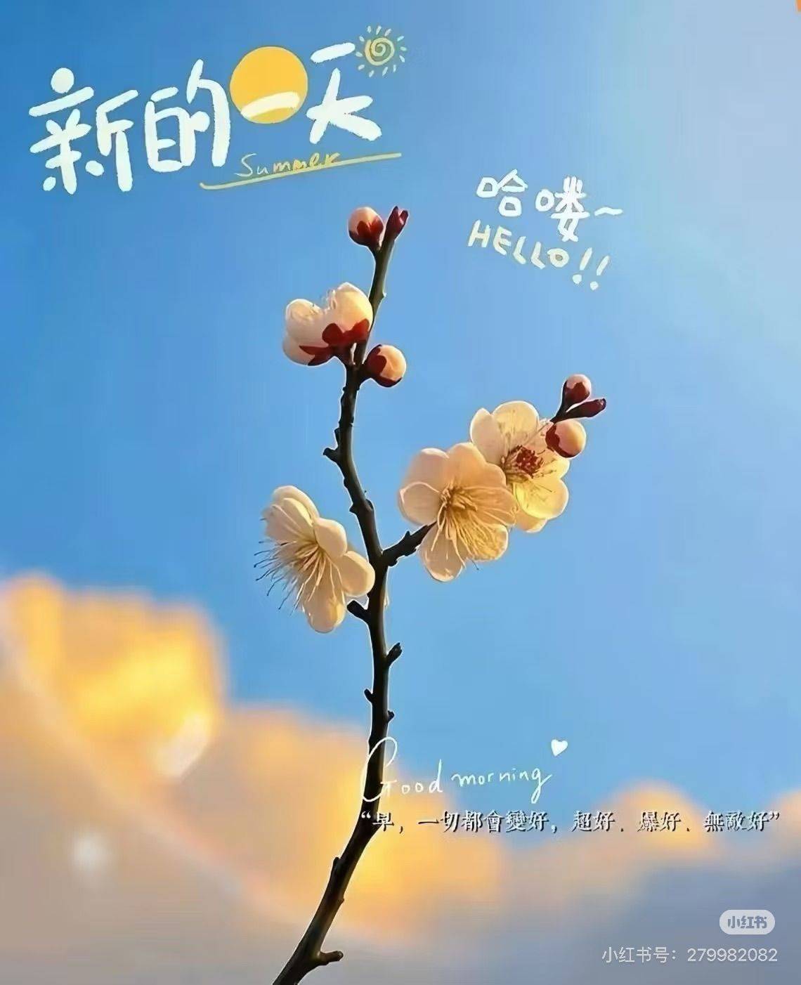 生活可以不万丈光芒，但永远不要停止发光。