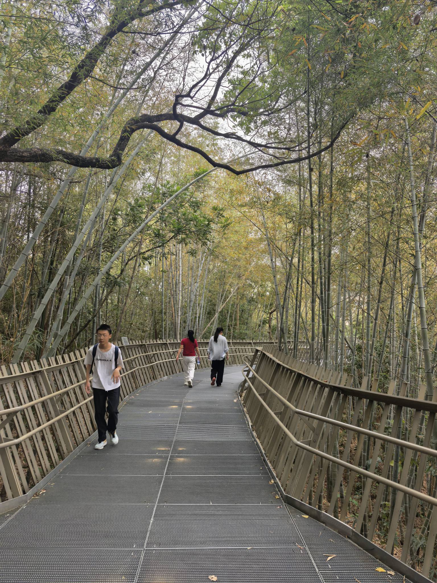 福道，日常休闲、锻炼好地方_3