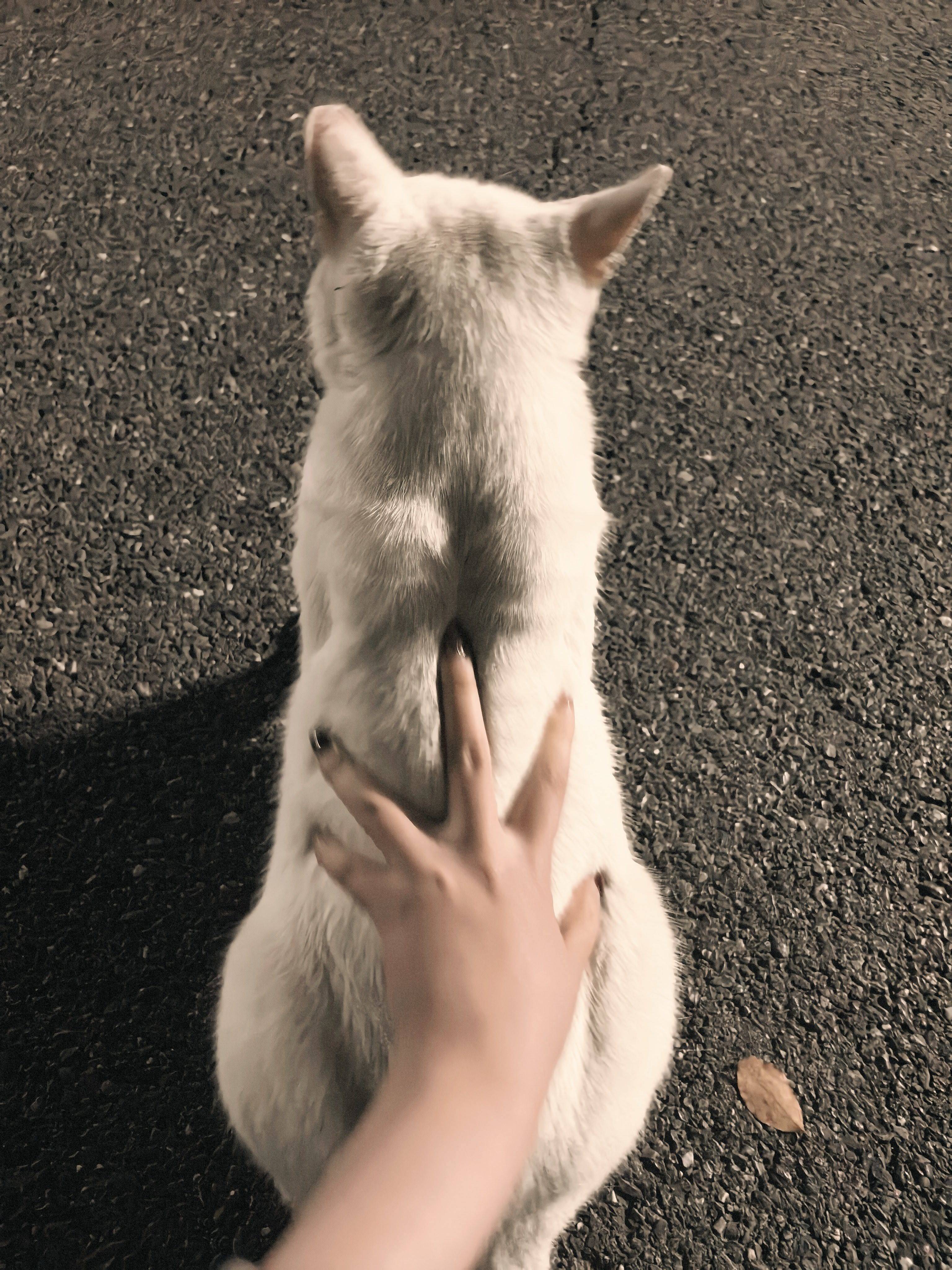 来Wellcee第一天！_3