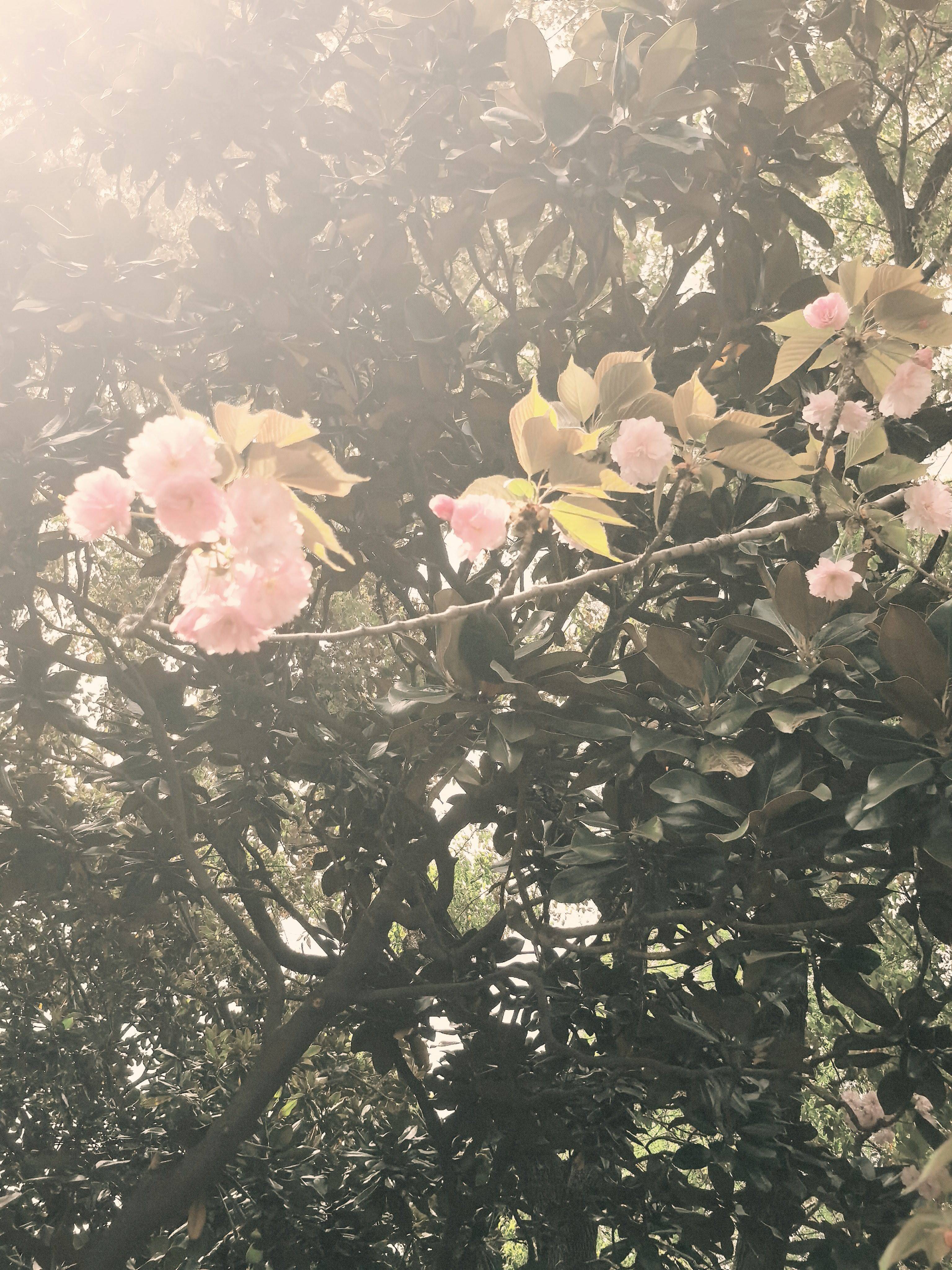 来Wellcee第一天！_2