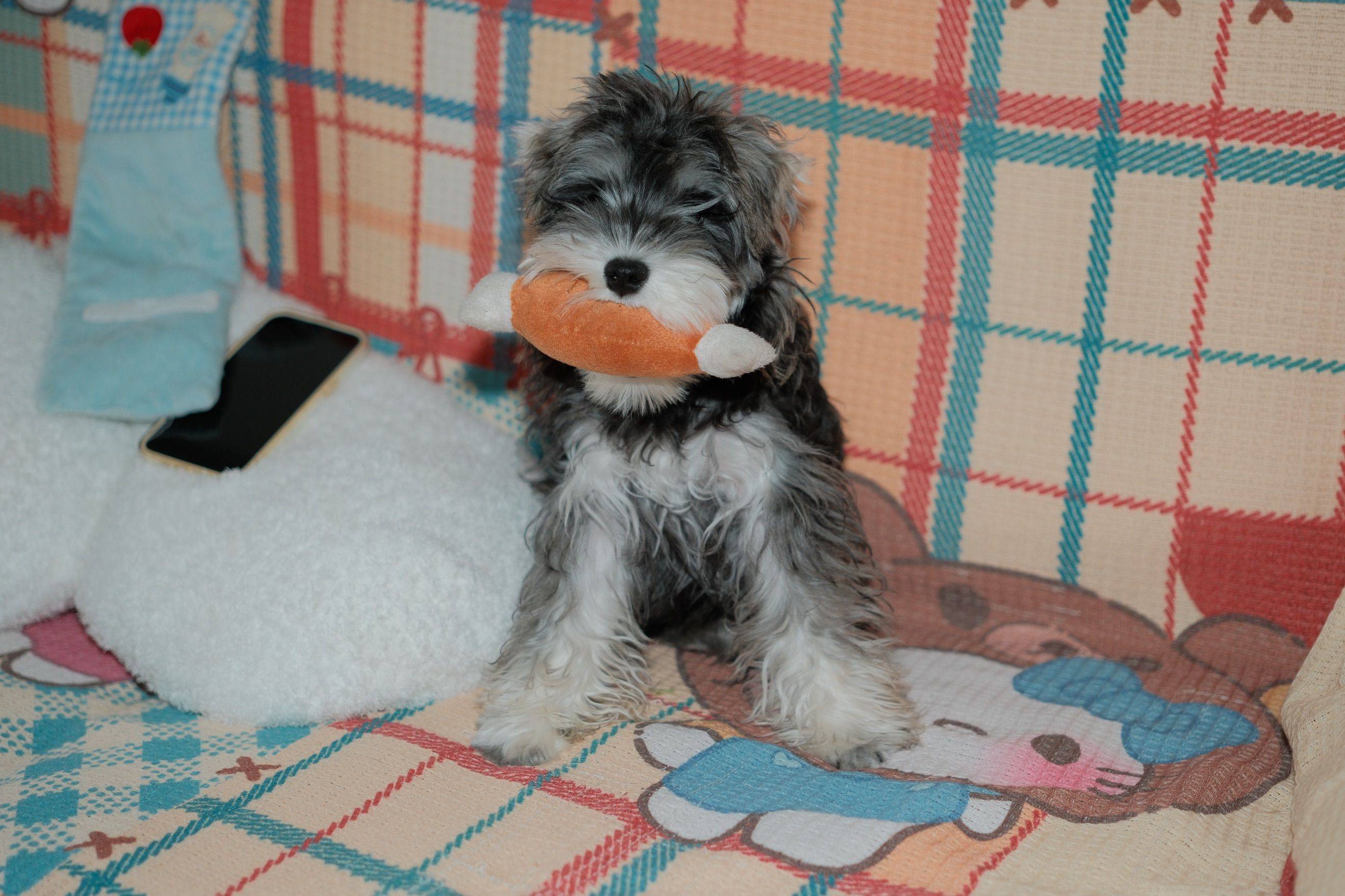 气博附近两室一厅找个室友