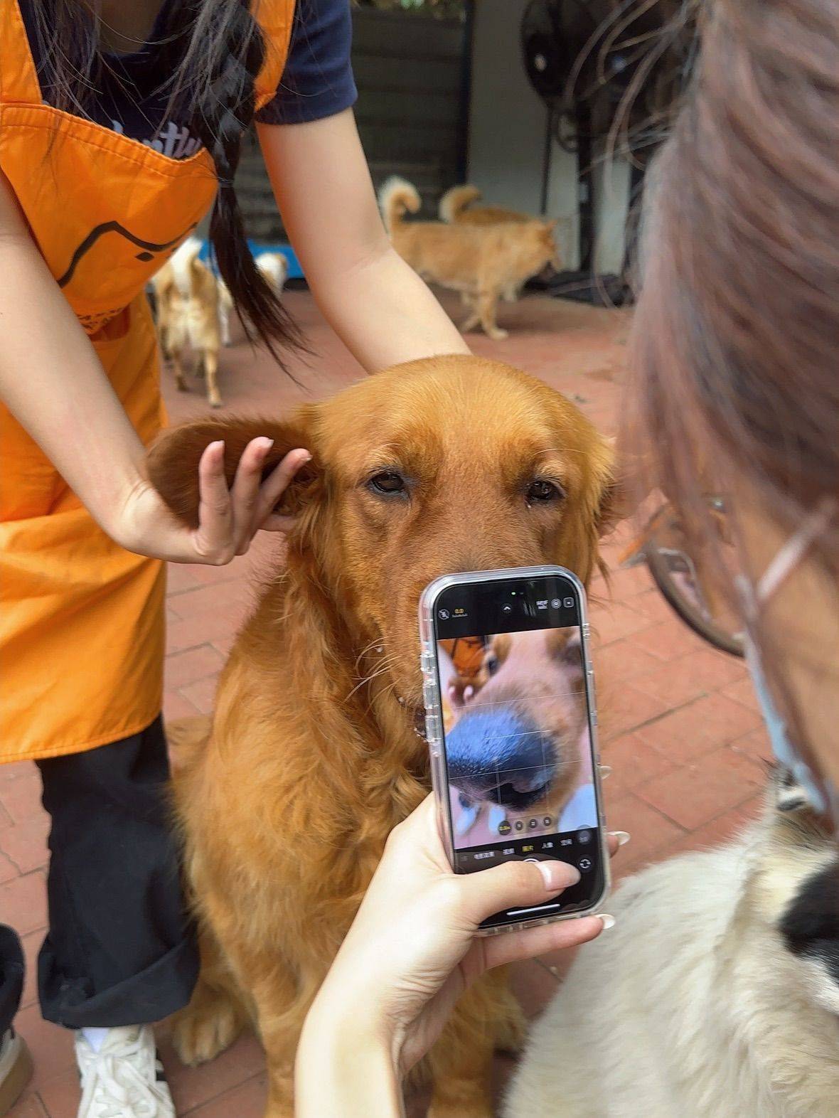 📍广州番禺   周末来做宠物义工哇！_3