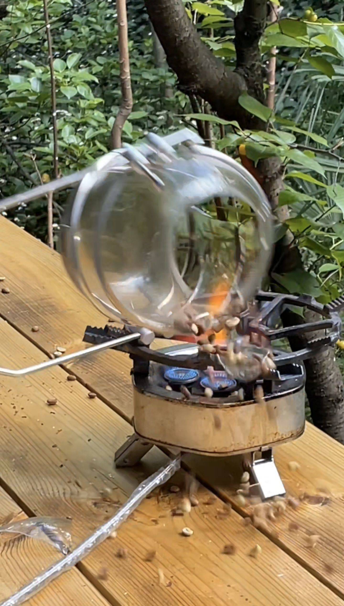 欢迎来我家体验暴力烘豆_4