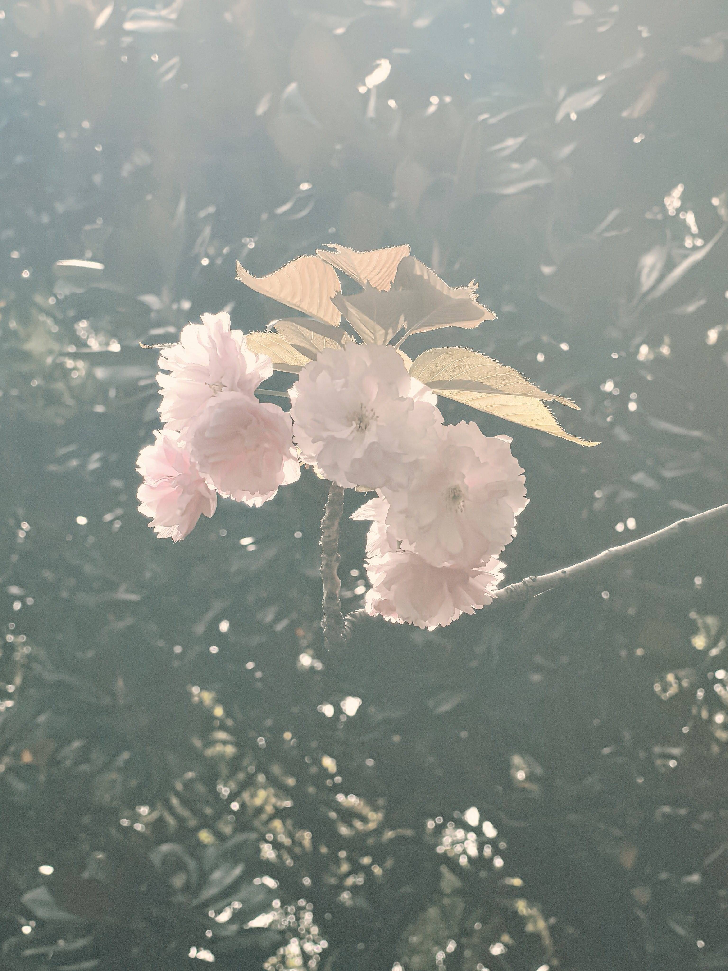 来Wellcee第一天！_1