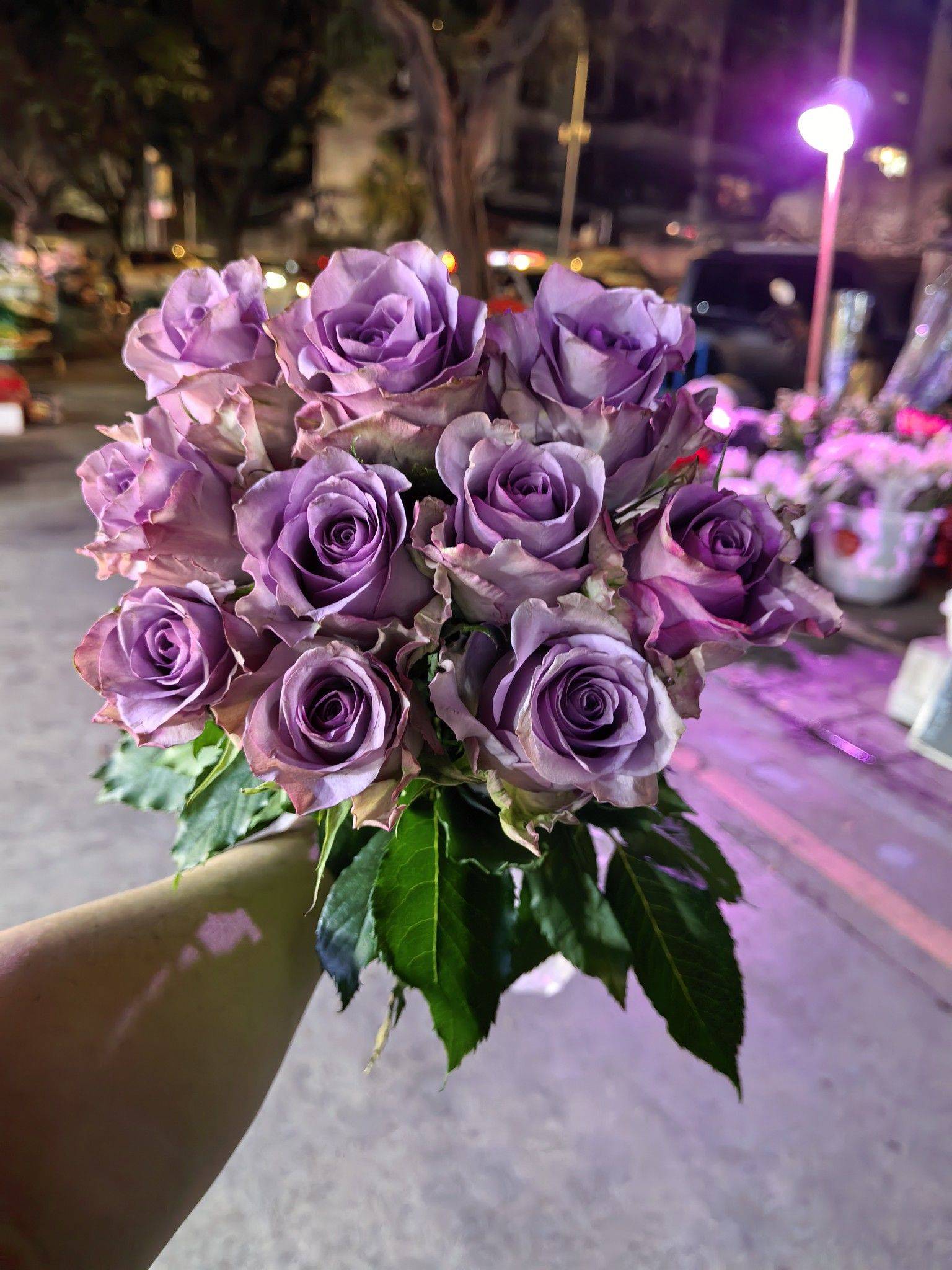 想蹲个租客，我买紫霞仙子送给你！ 在线