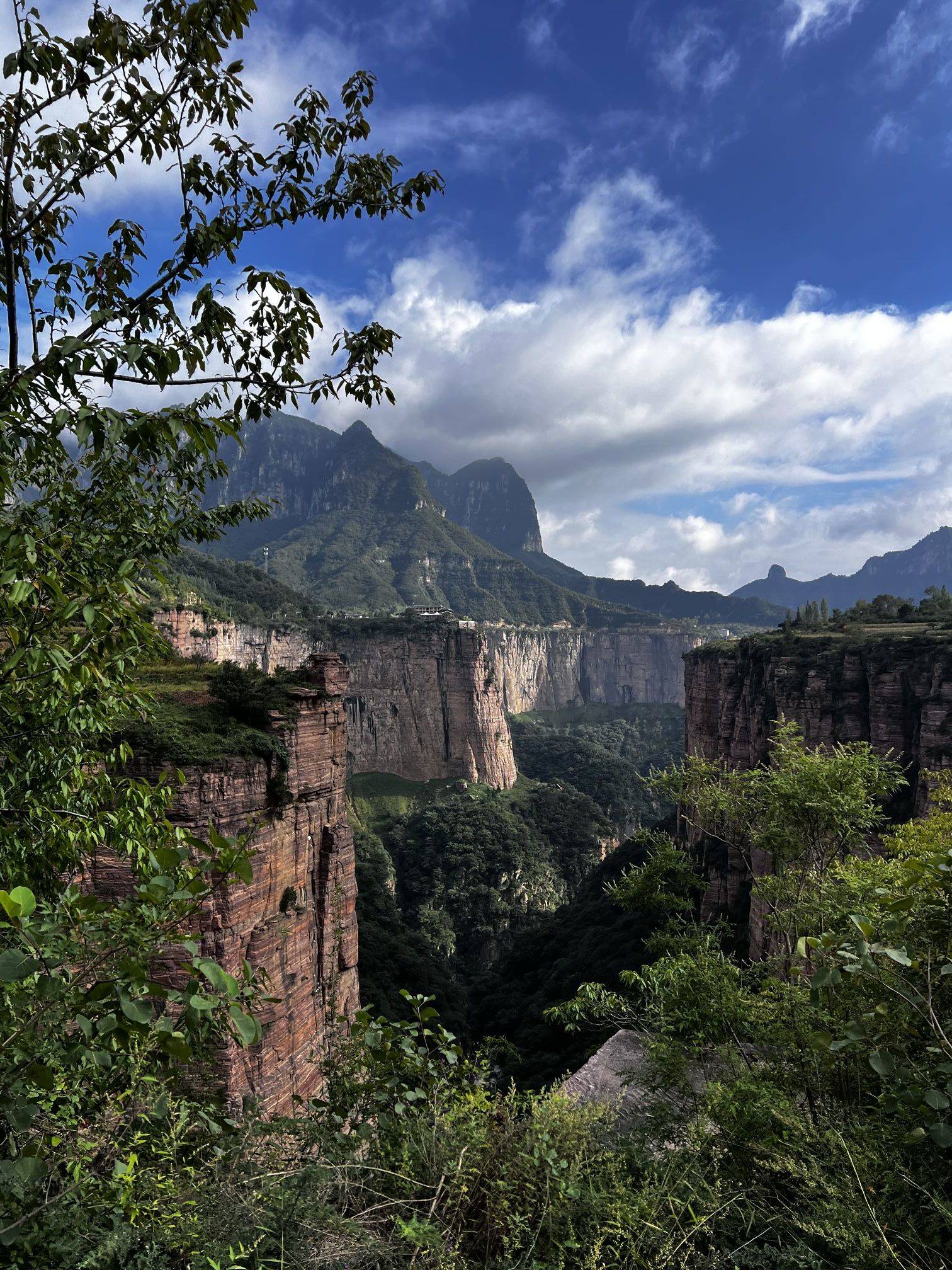 人民广场附近7公里，我是女生，求合租室友_1