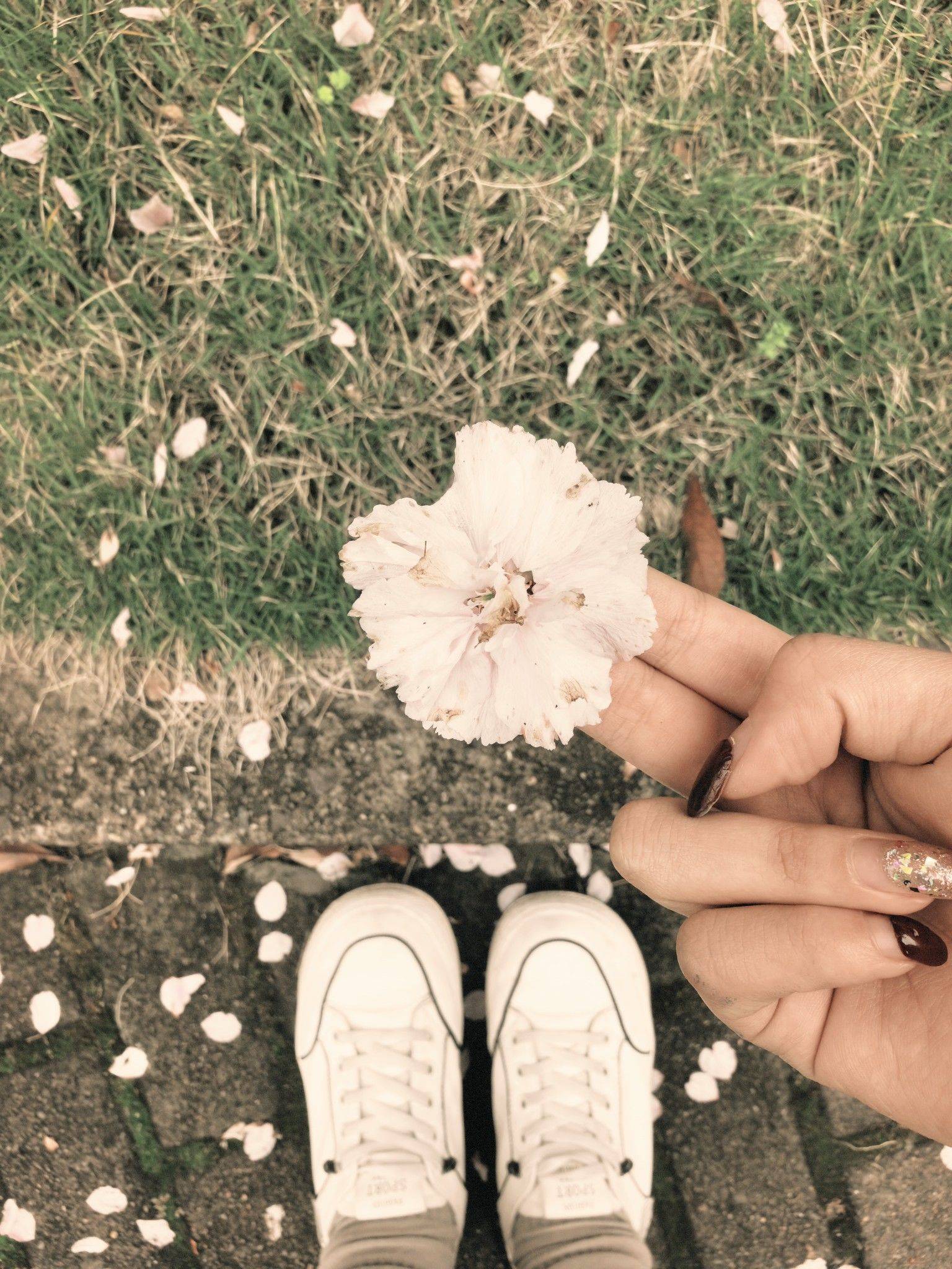 上海的雨，藏着最温柔的规律🌧️