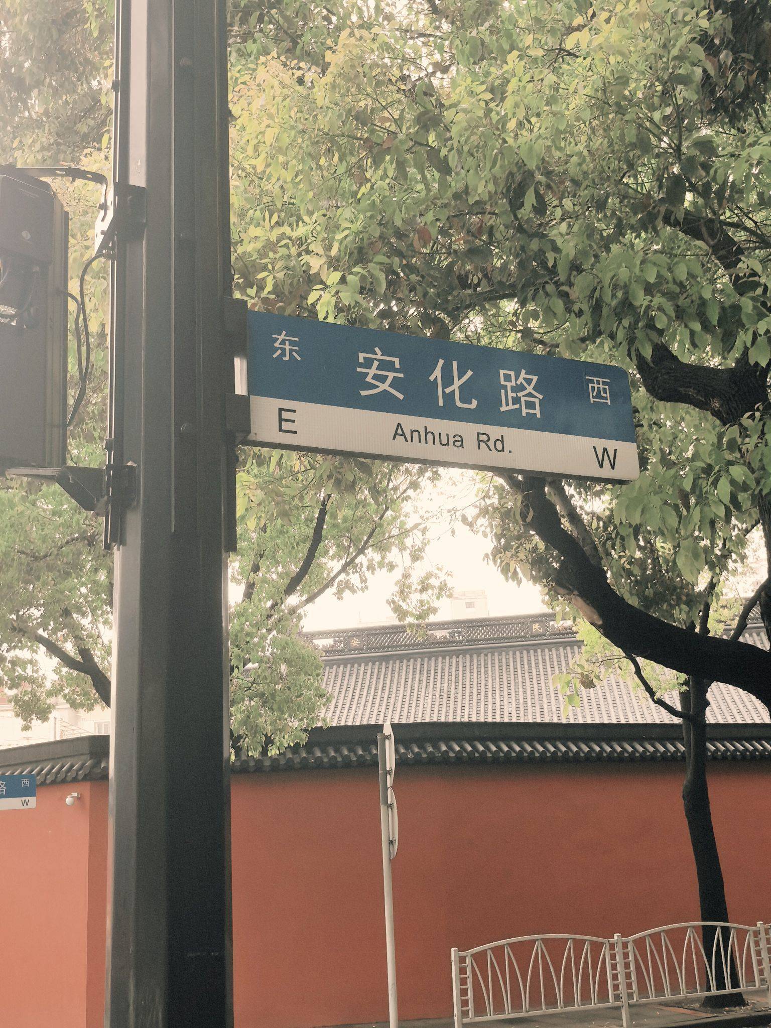 上海的雨，藏着最温柔的规律🌧️_1