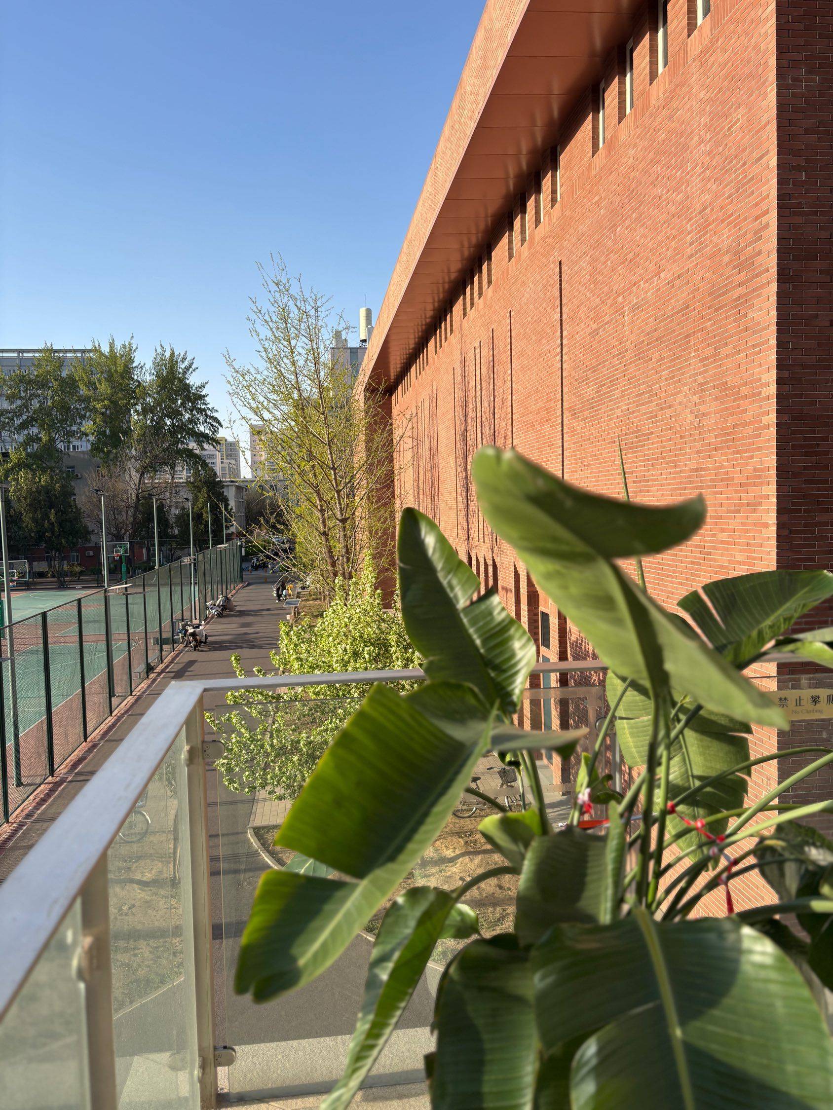 六号线廖公庄蹲蹲女生室友