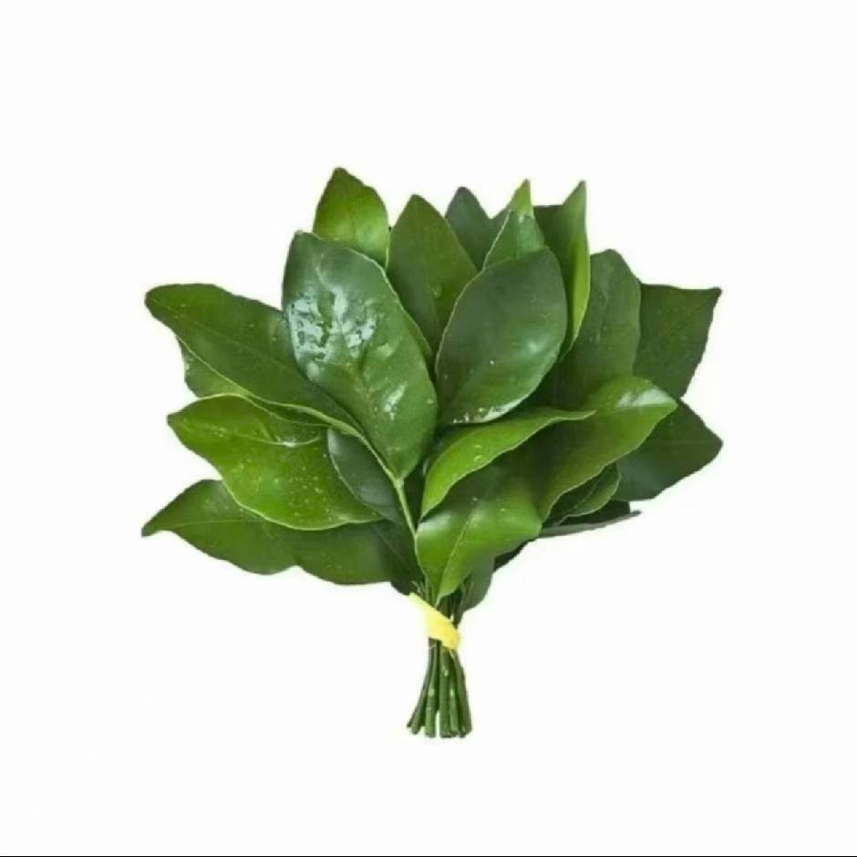 重庆大龙山地铁站蹲个室友600一个月