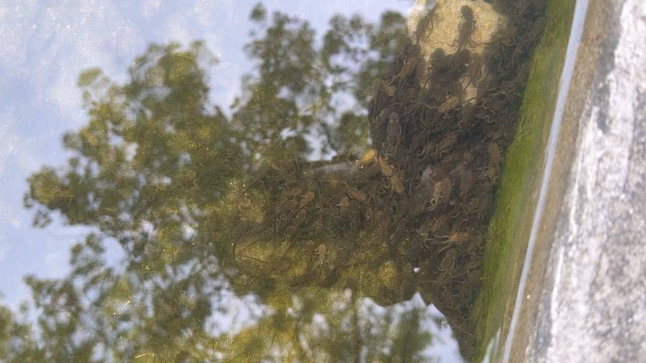 慢慢长大