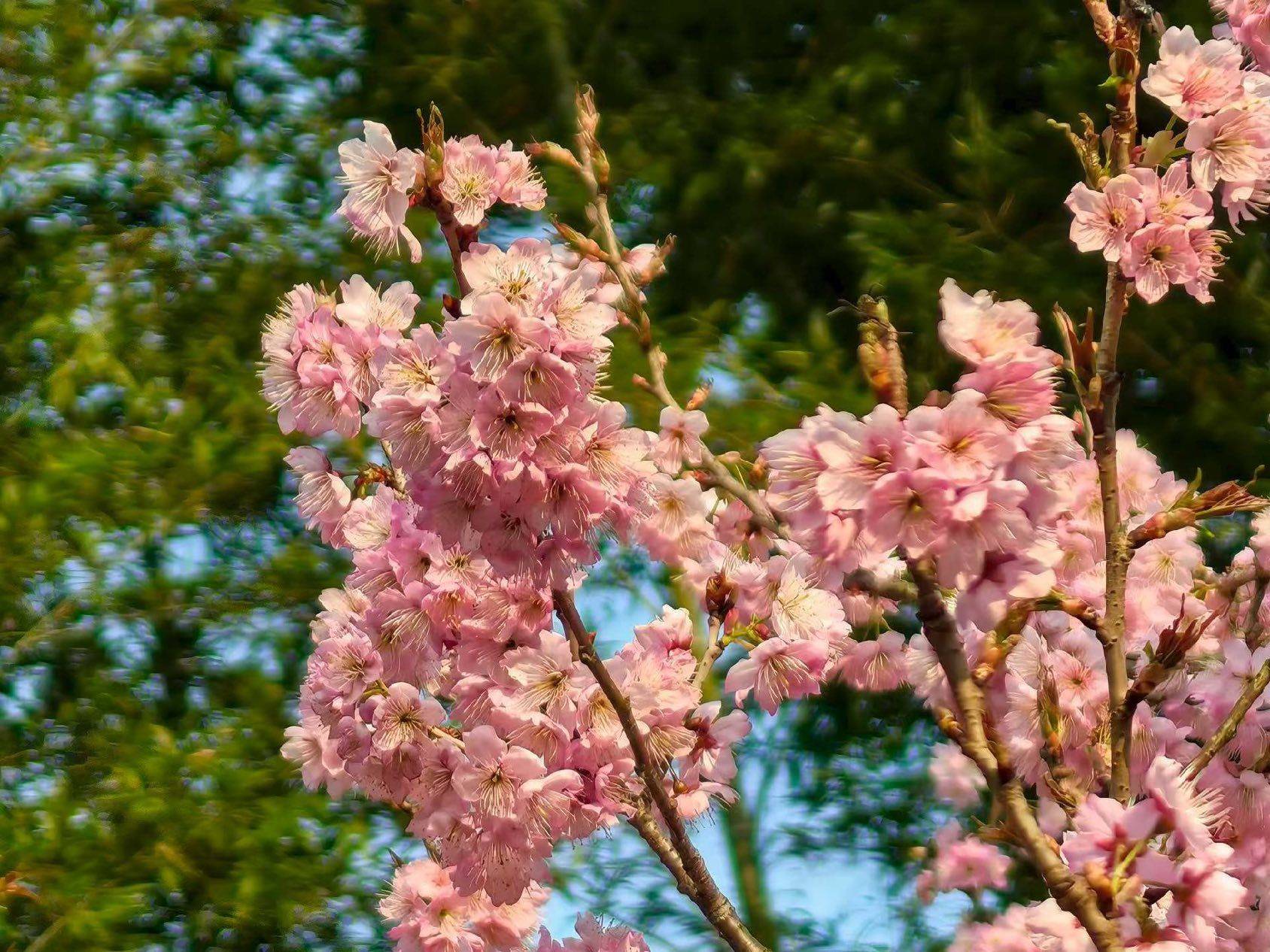 找合租室友，浦东北蔡附近，我找到了500