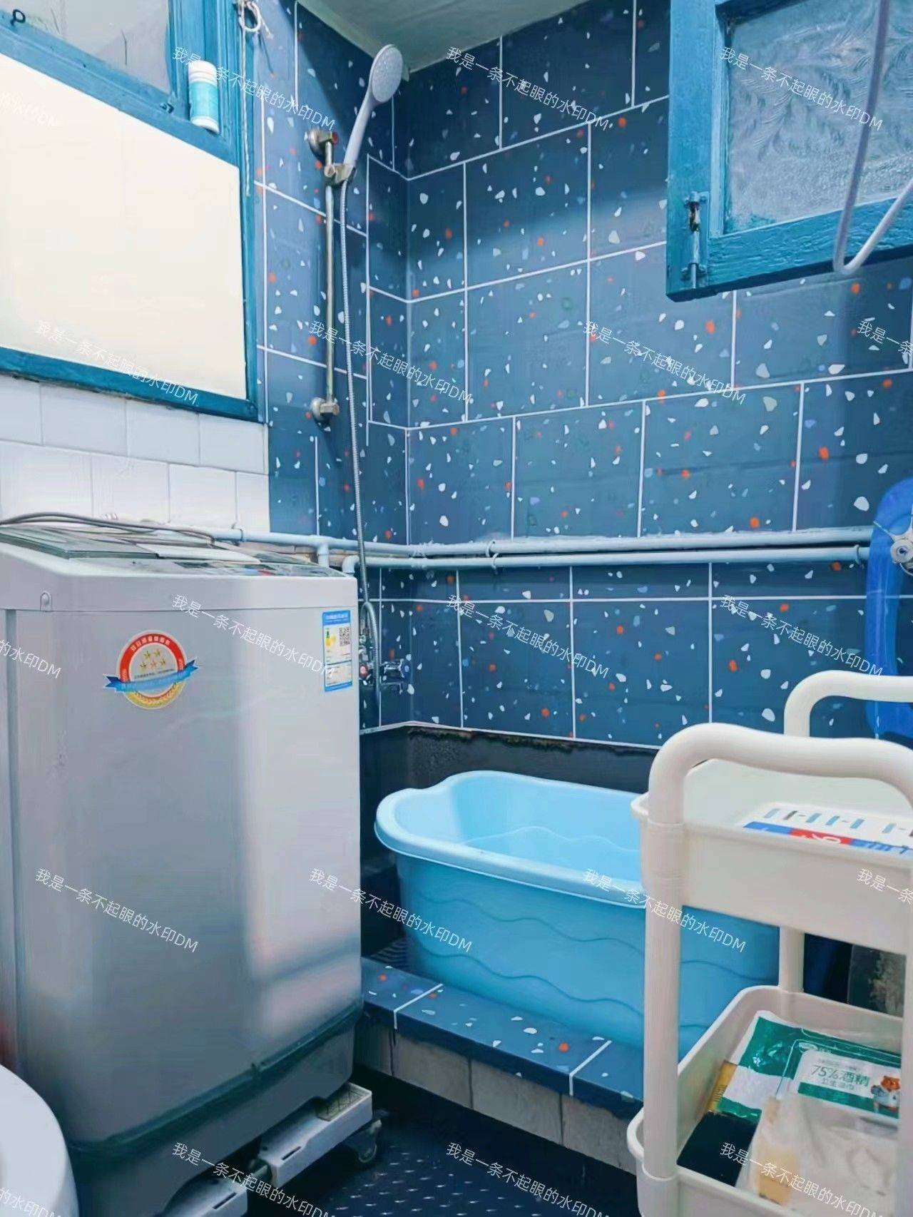 为什么很多房东不接受毛小孩_4