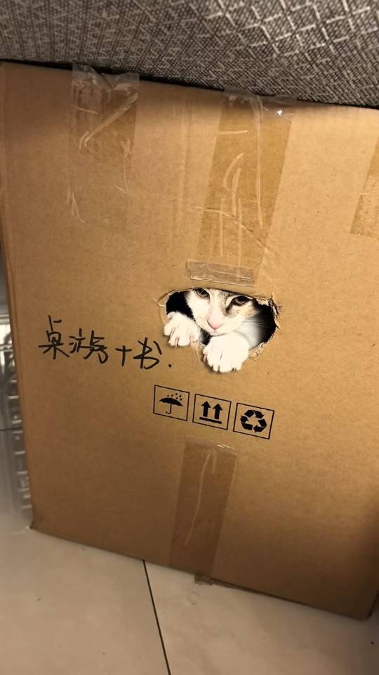 上海可爱宝贝找领养啦_1