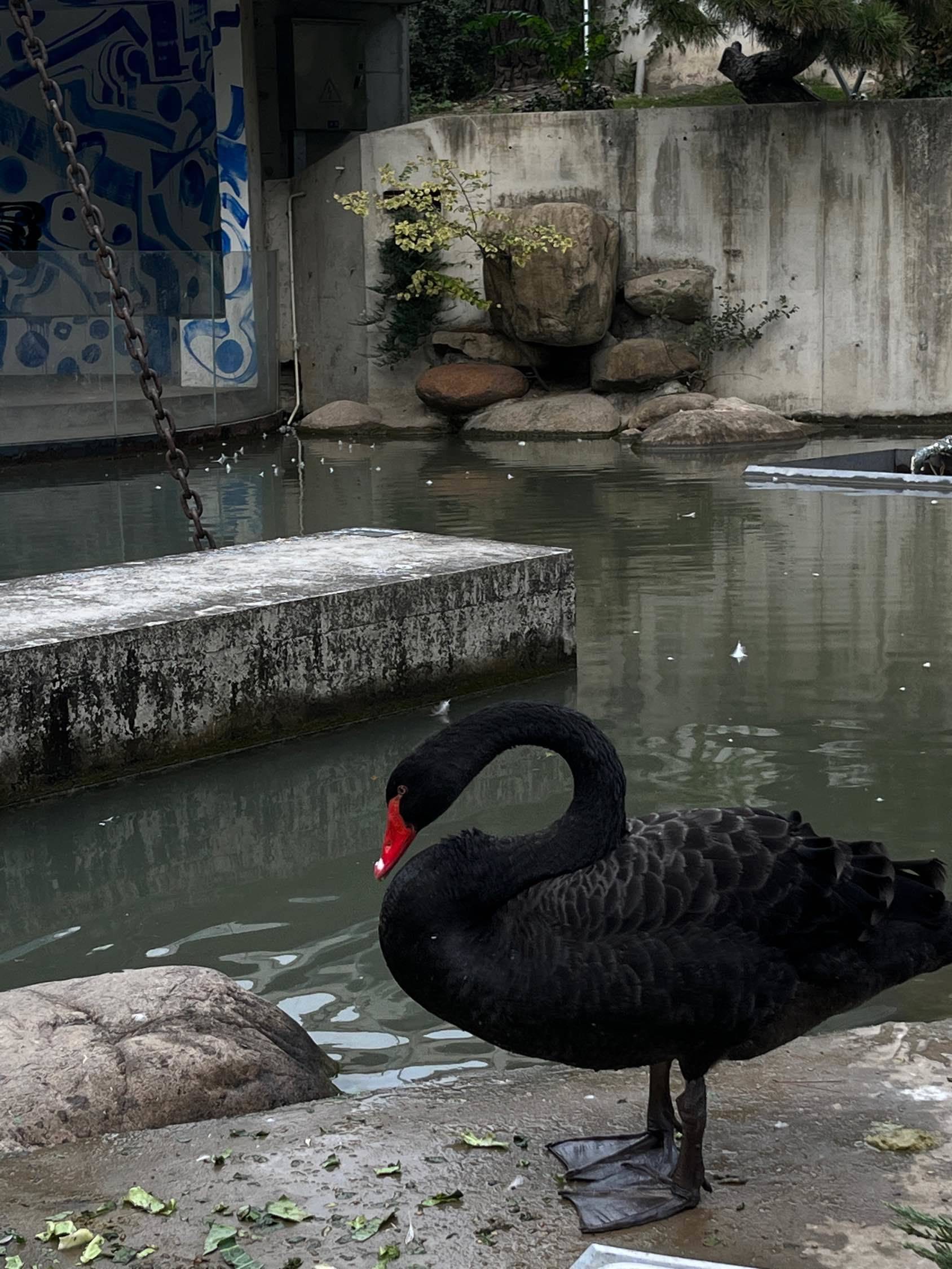 现在，就该生活了。_2