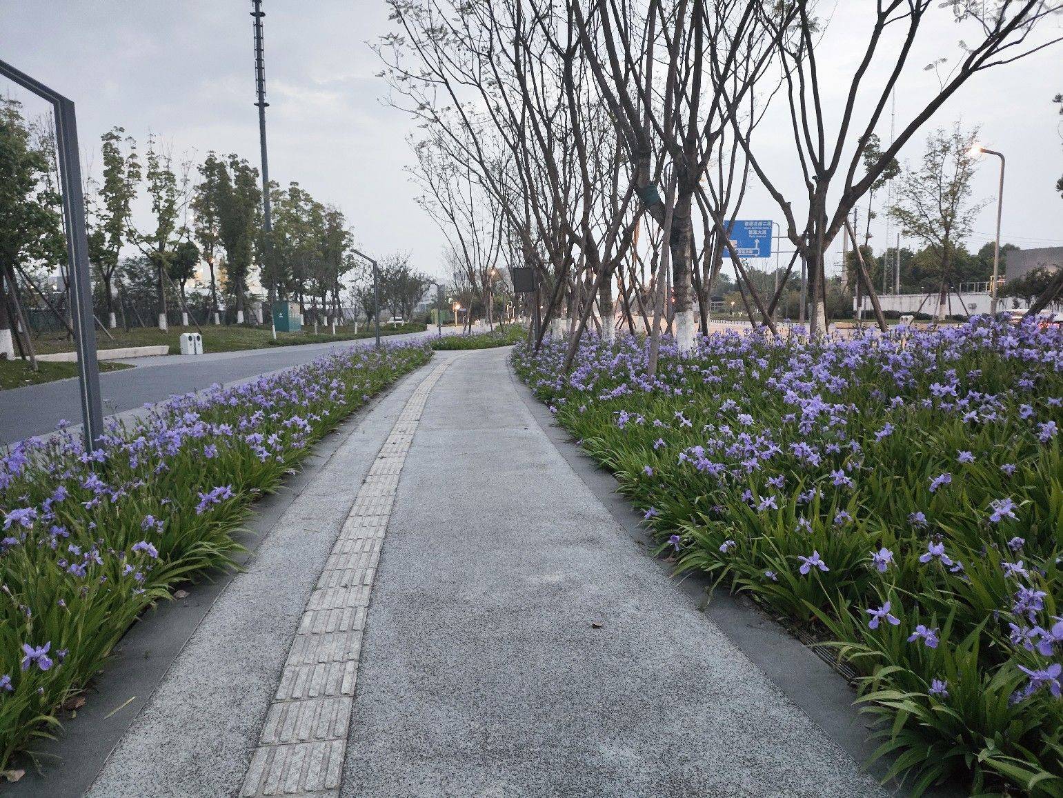 骑行🚴‍♀️路上_1