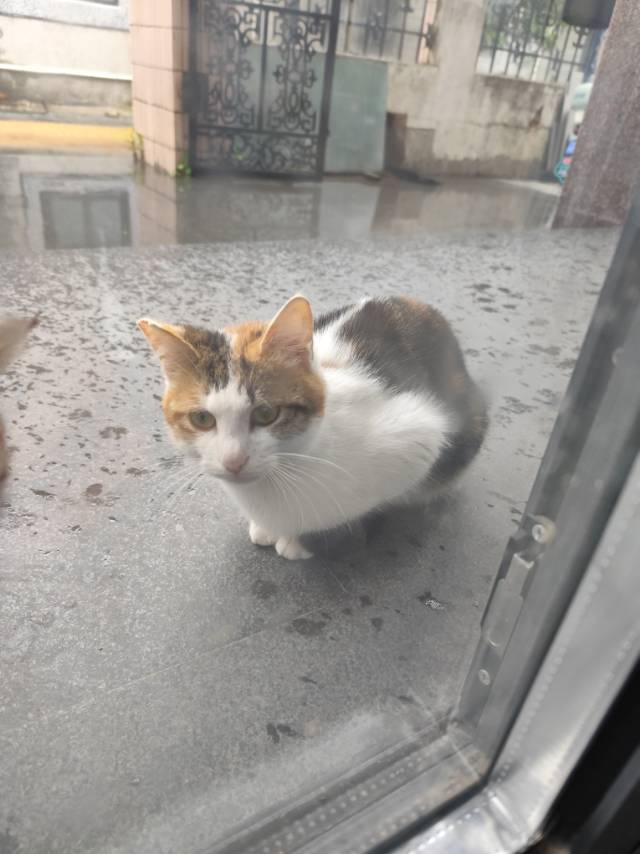 把镜头对准爱的所有