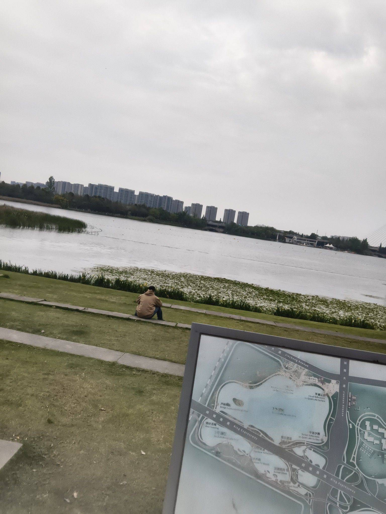  在线蹲室友  城市风光  湖边静