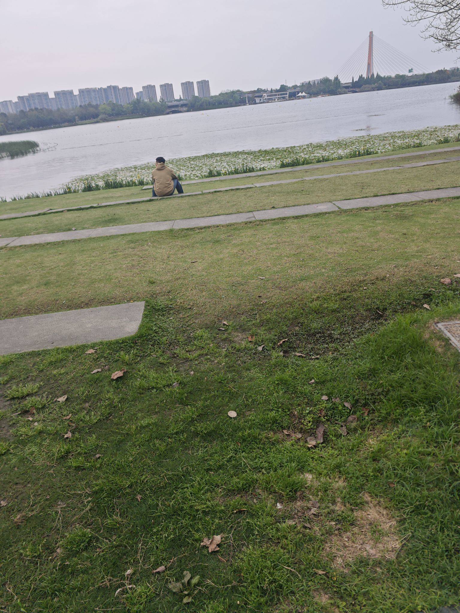  城市风光  湖边静坐  一个人的