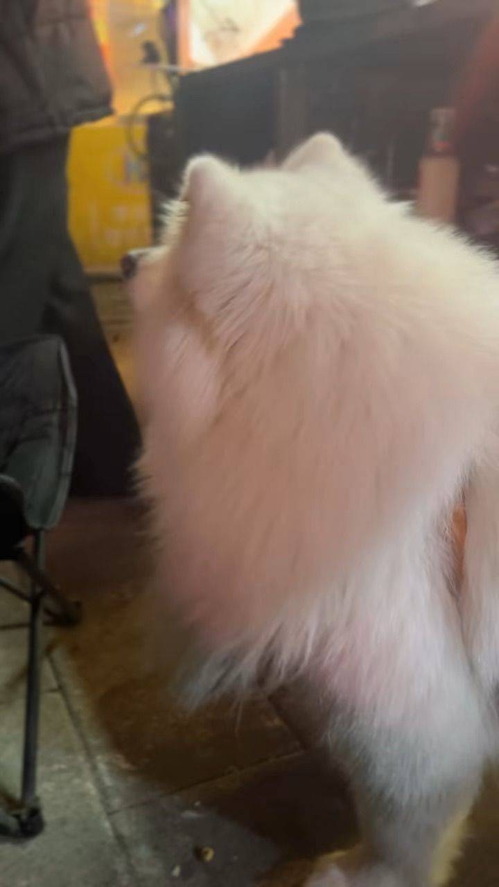 坠入生活慢节奏