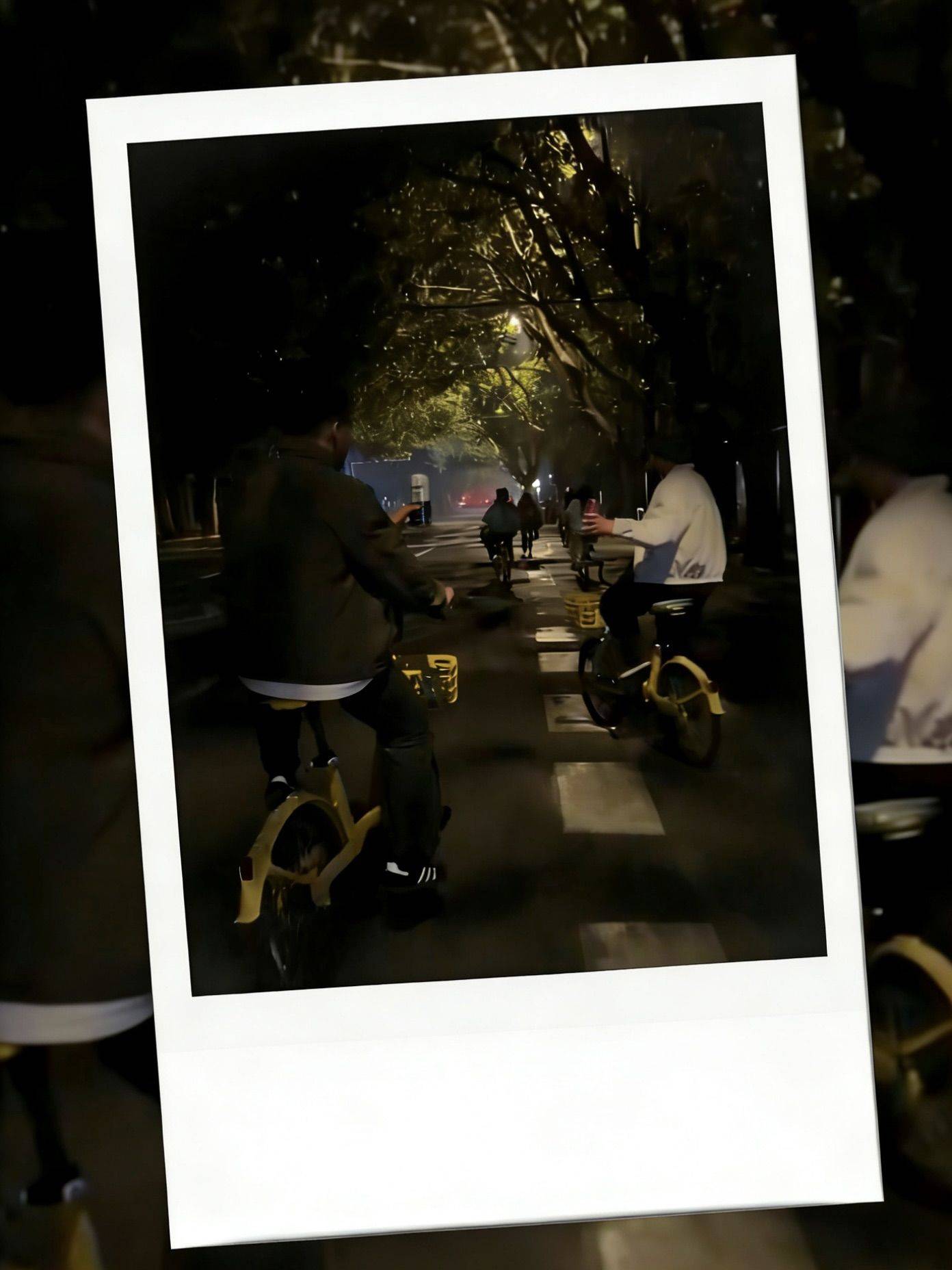 上海浦东找室友！复式三层朝南独卫_1