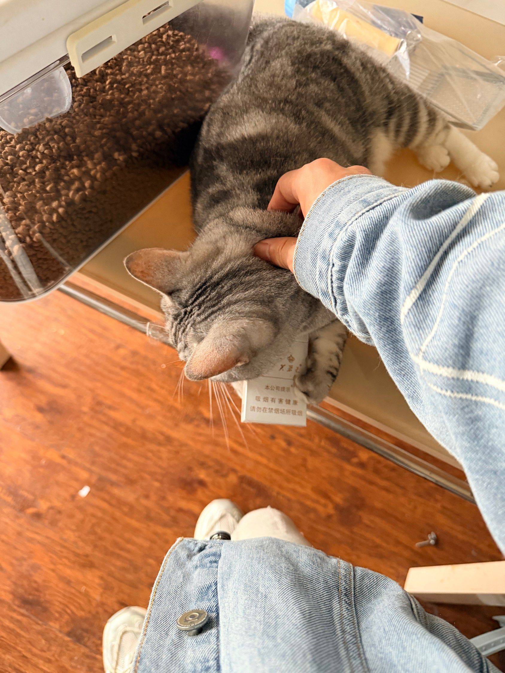 双流区黄金时代或朗基和今缘求租房