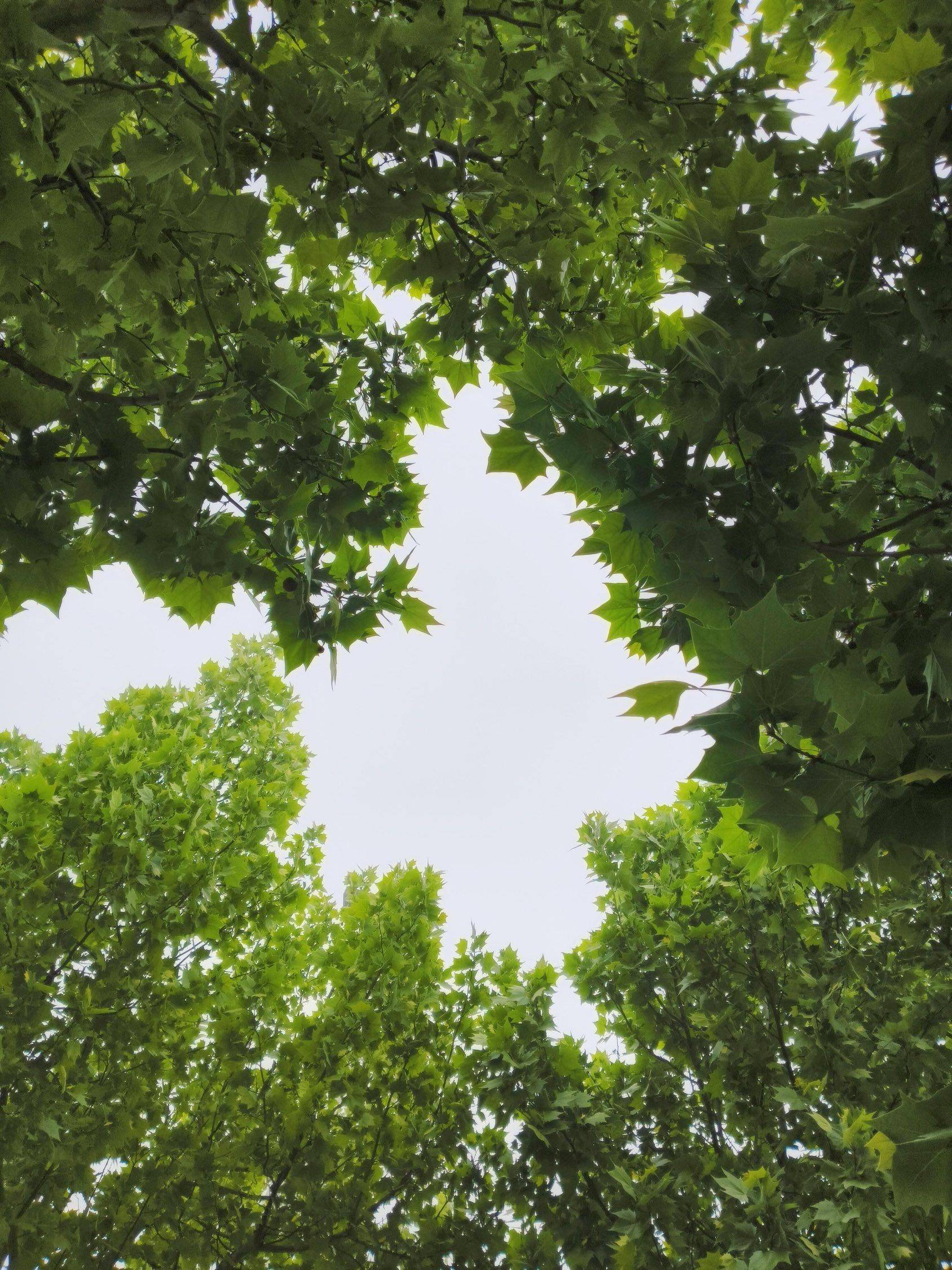 生活没有完美的答案，只有真实的体验 路