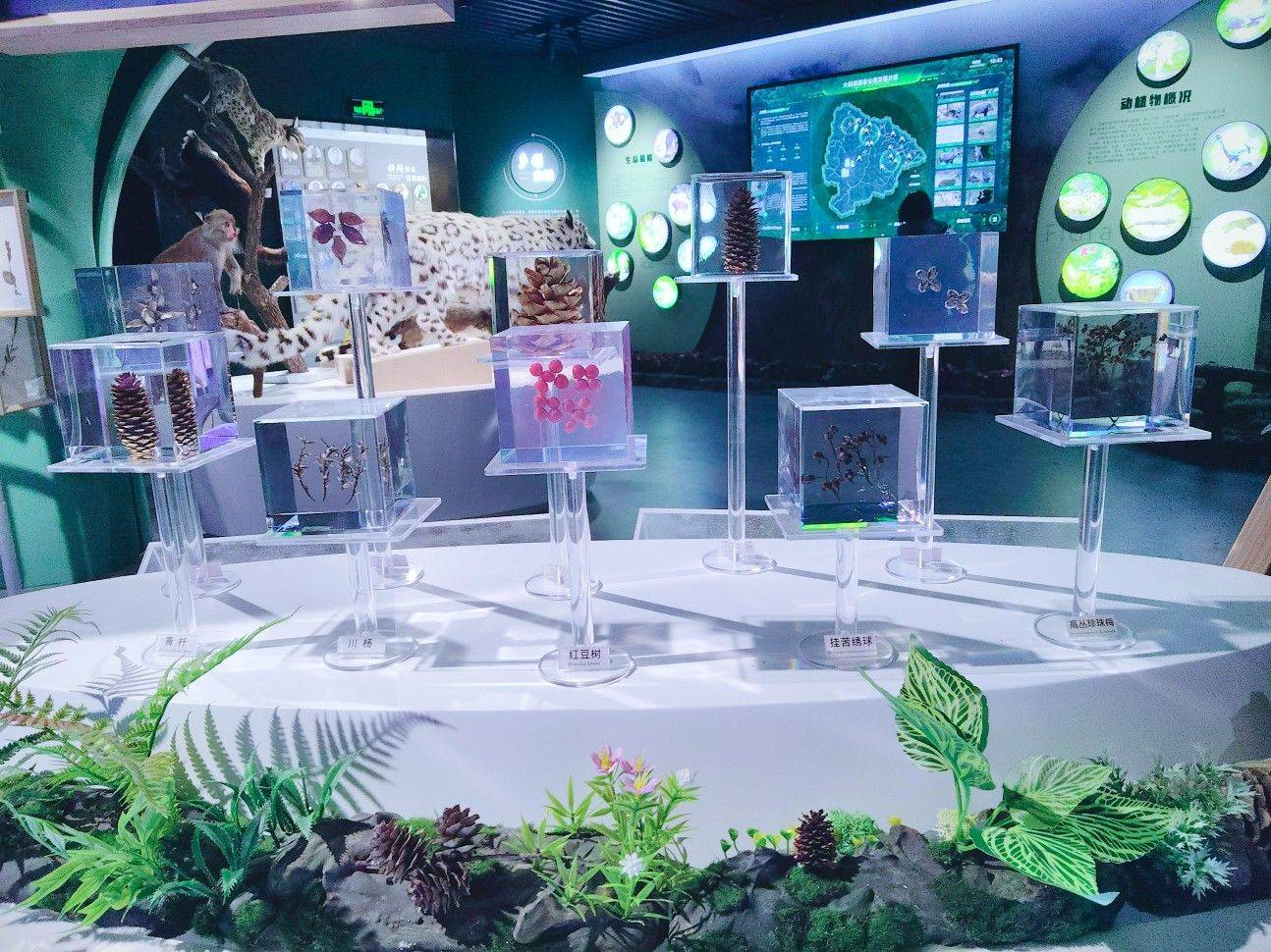 西安雁塔区蹲稳定租客