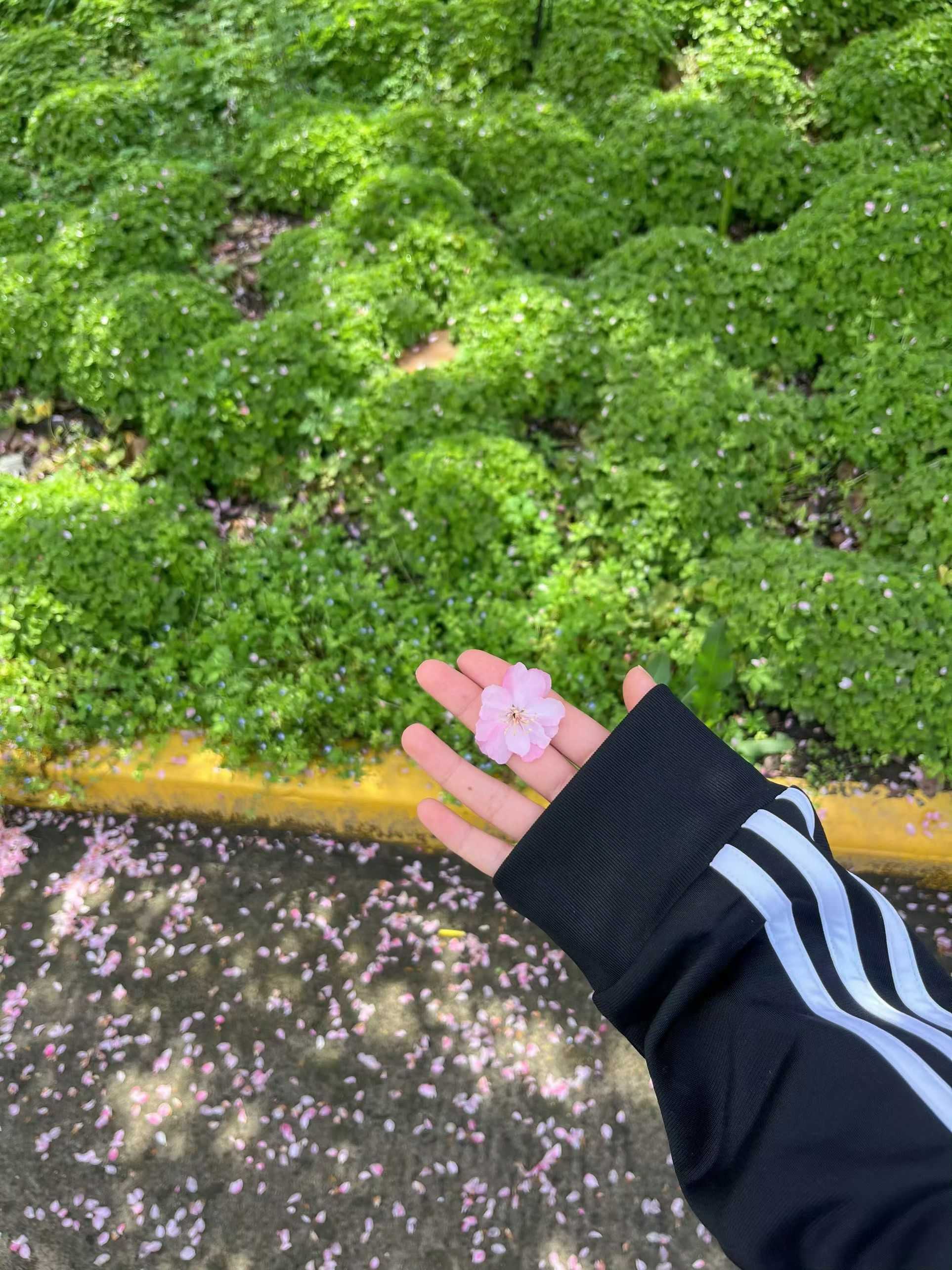 ‍
ℙ𝕒𝕦𝕤𝕖 🌸🌿
